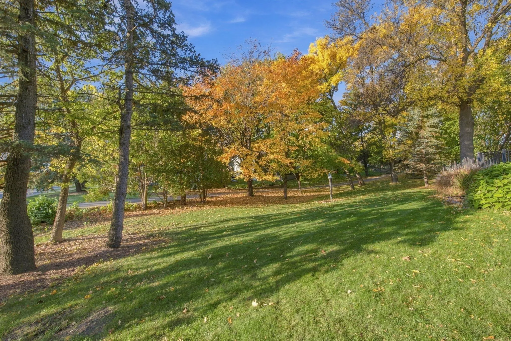 Photo 42 of 11115 Lanewood Circle