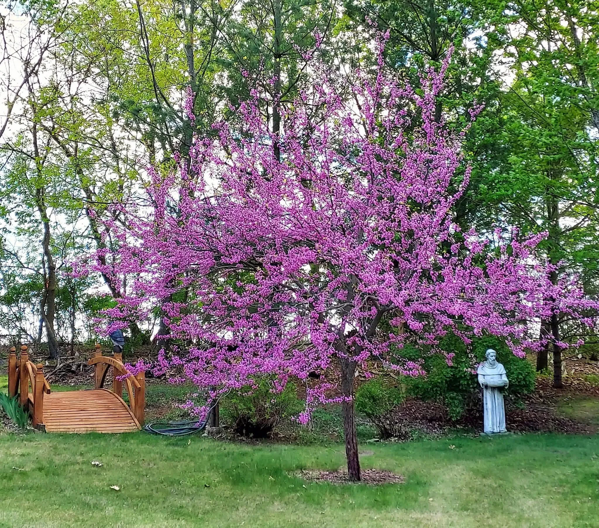 Photo 7 of 414 Ramsey Avenue