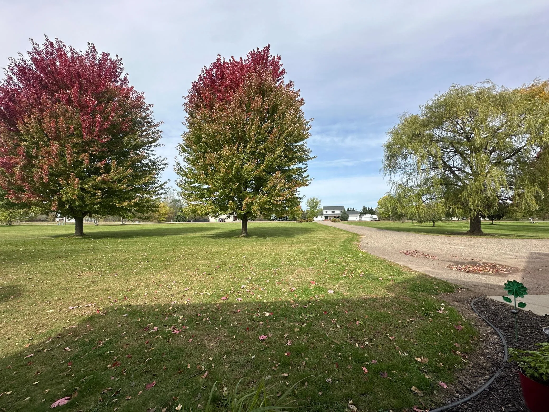 Photo 42 of 1309 214th Avenue