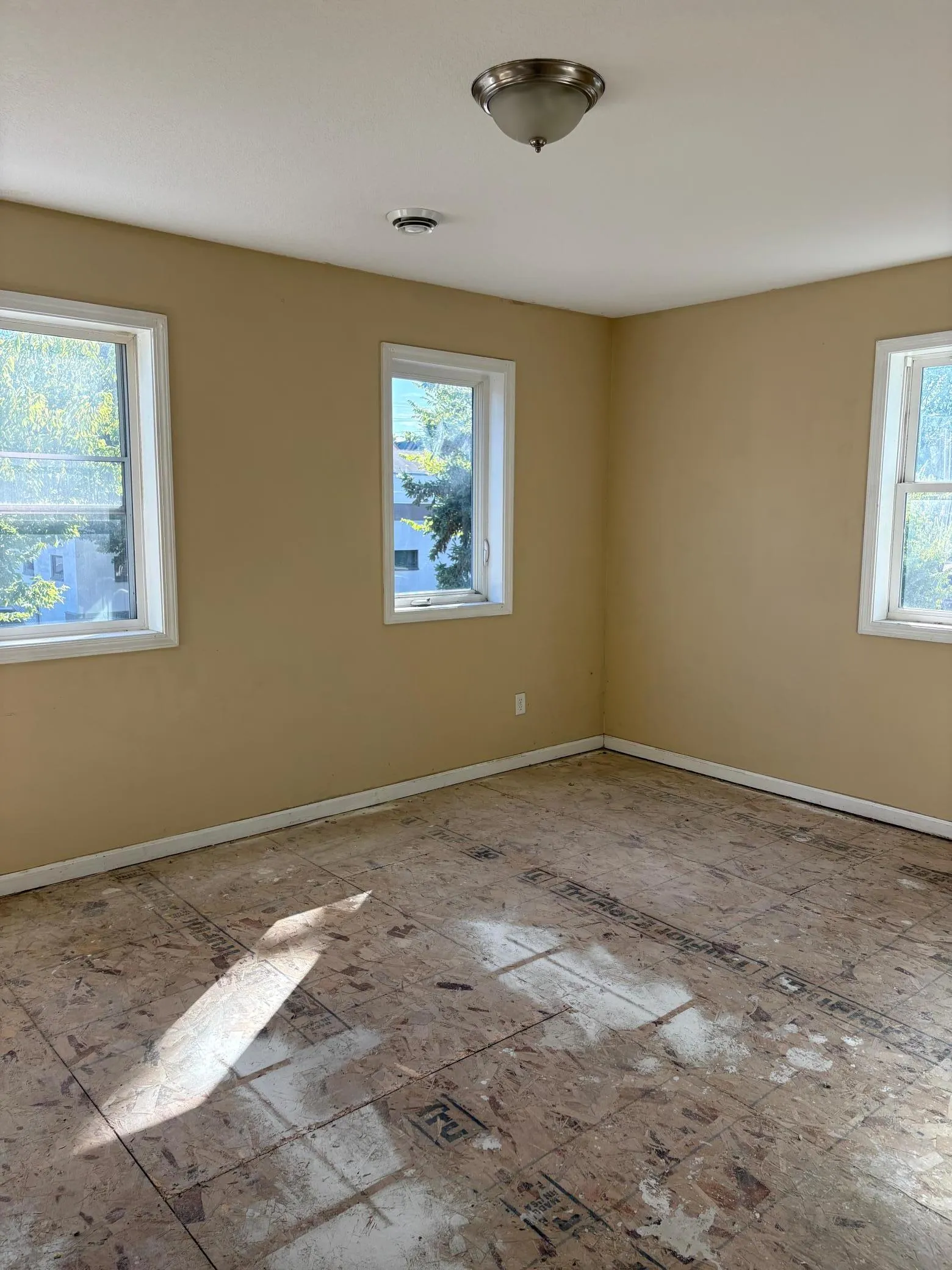Photo 6 of 565 Hatch Avenue