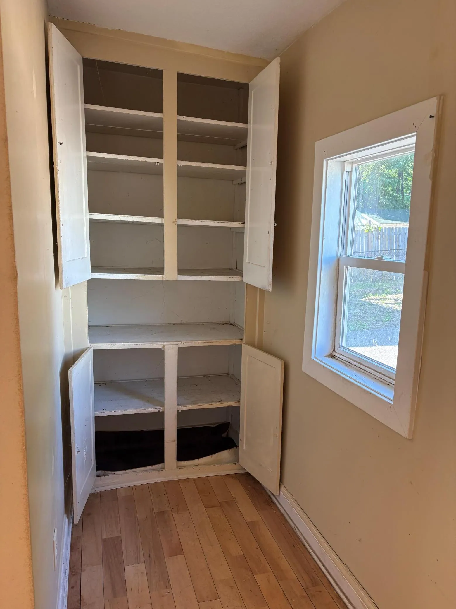 Photo 5 of 565 Hatch Avenue