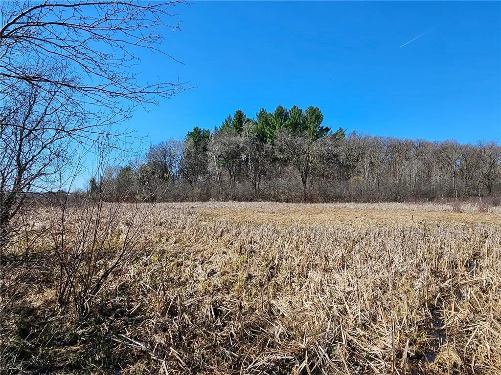 Photo 7 of 1870 County Road C