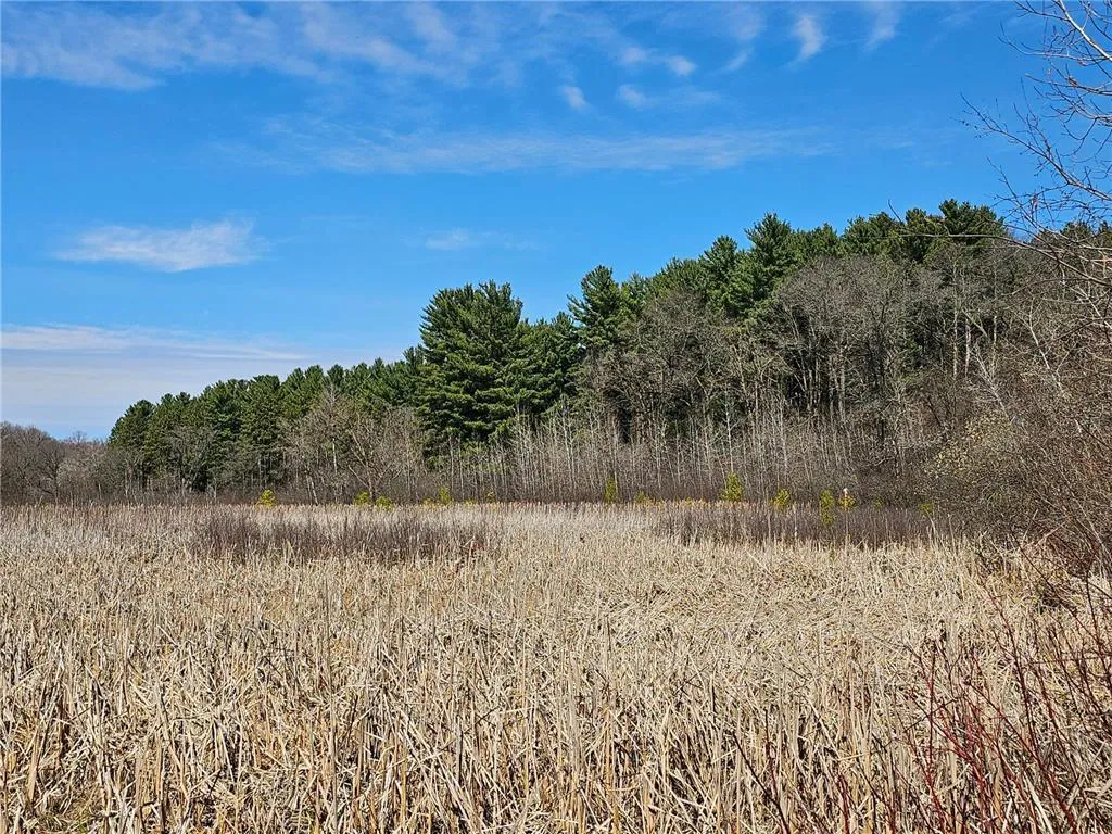 Photo 9 of 1870 County Road C