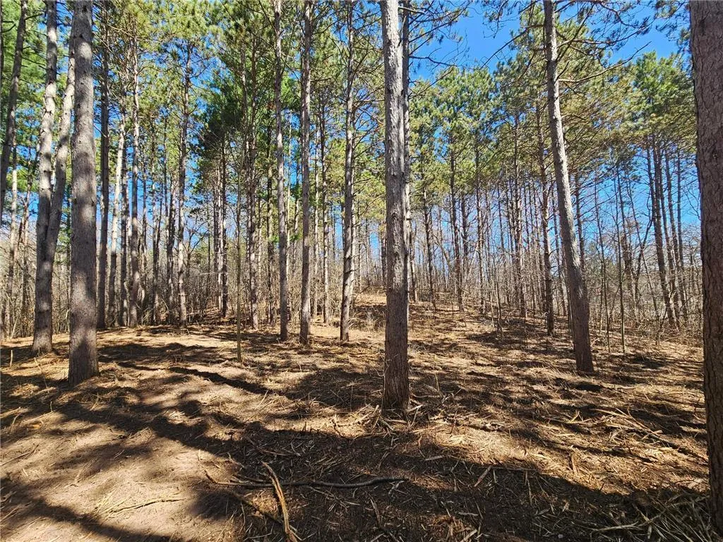 Photo 5 of 1870 County Road C