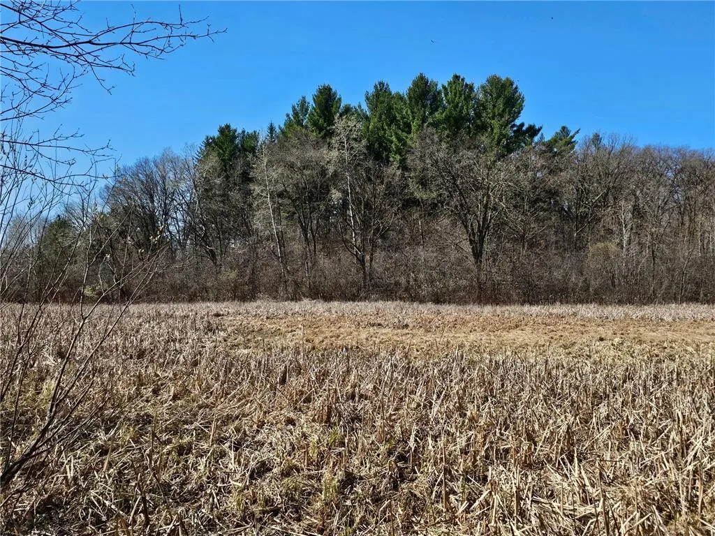 Photo 8 of 1870 County Road C