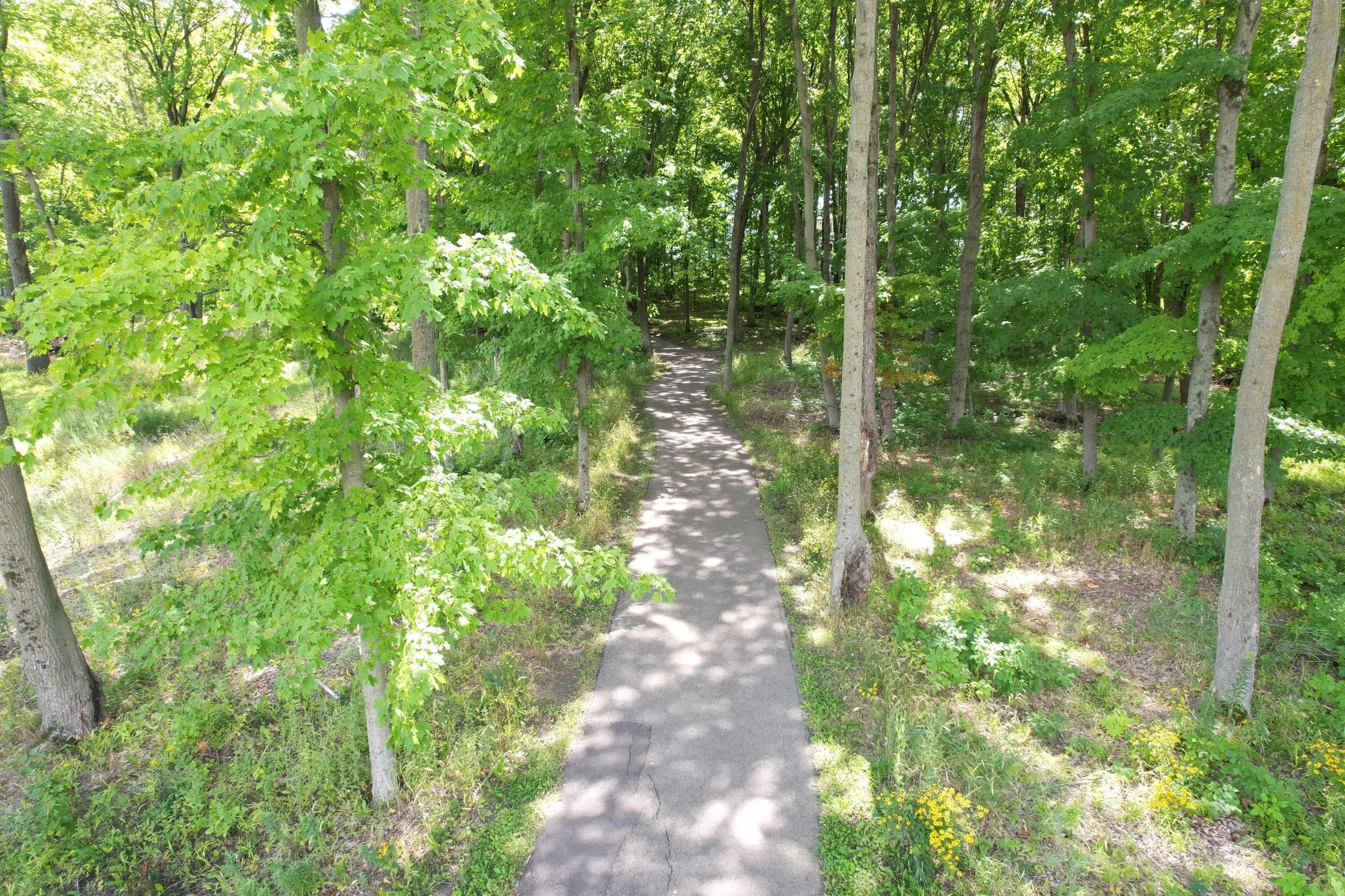 Photo 41 of 4641 Wolfberry Curve