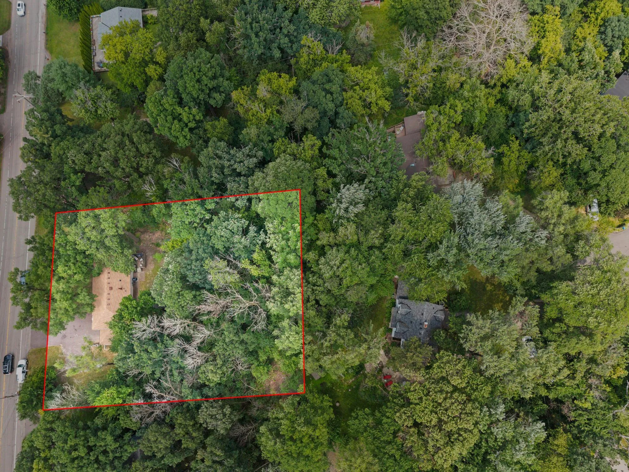 Photo 51 of 4115 Williston Road
