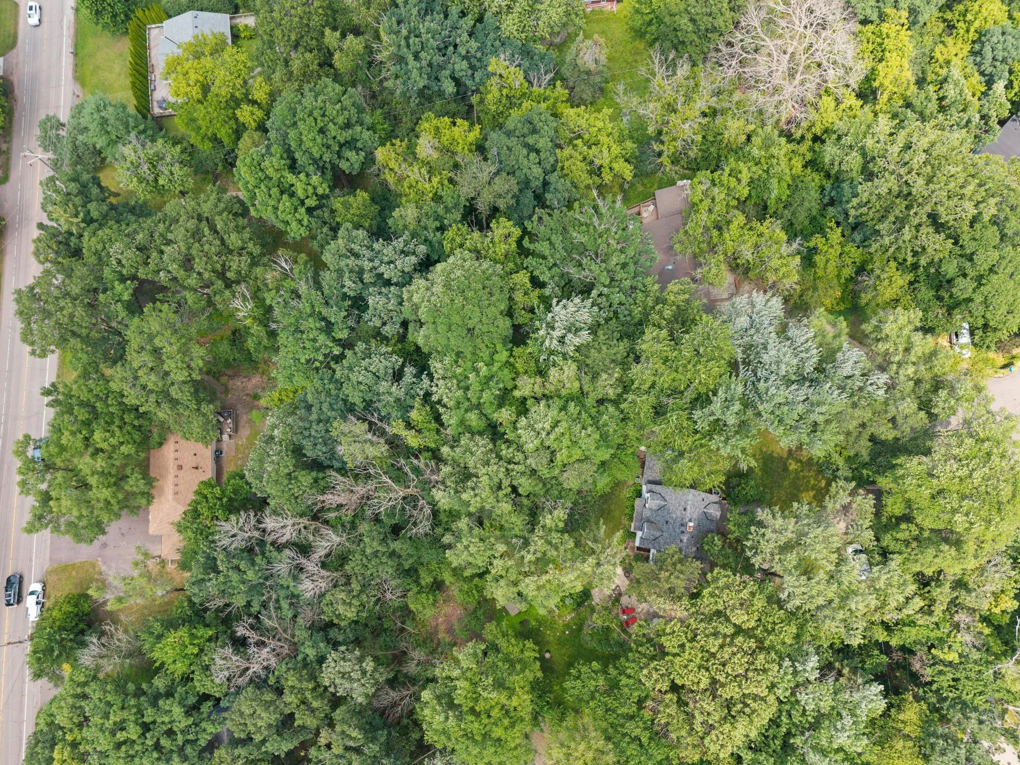 Photo 44 of 4115 Williston Road