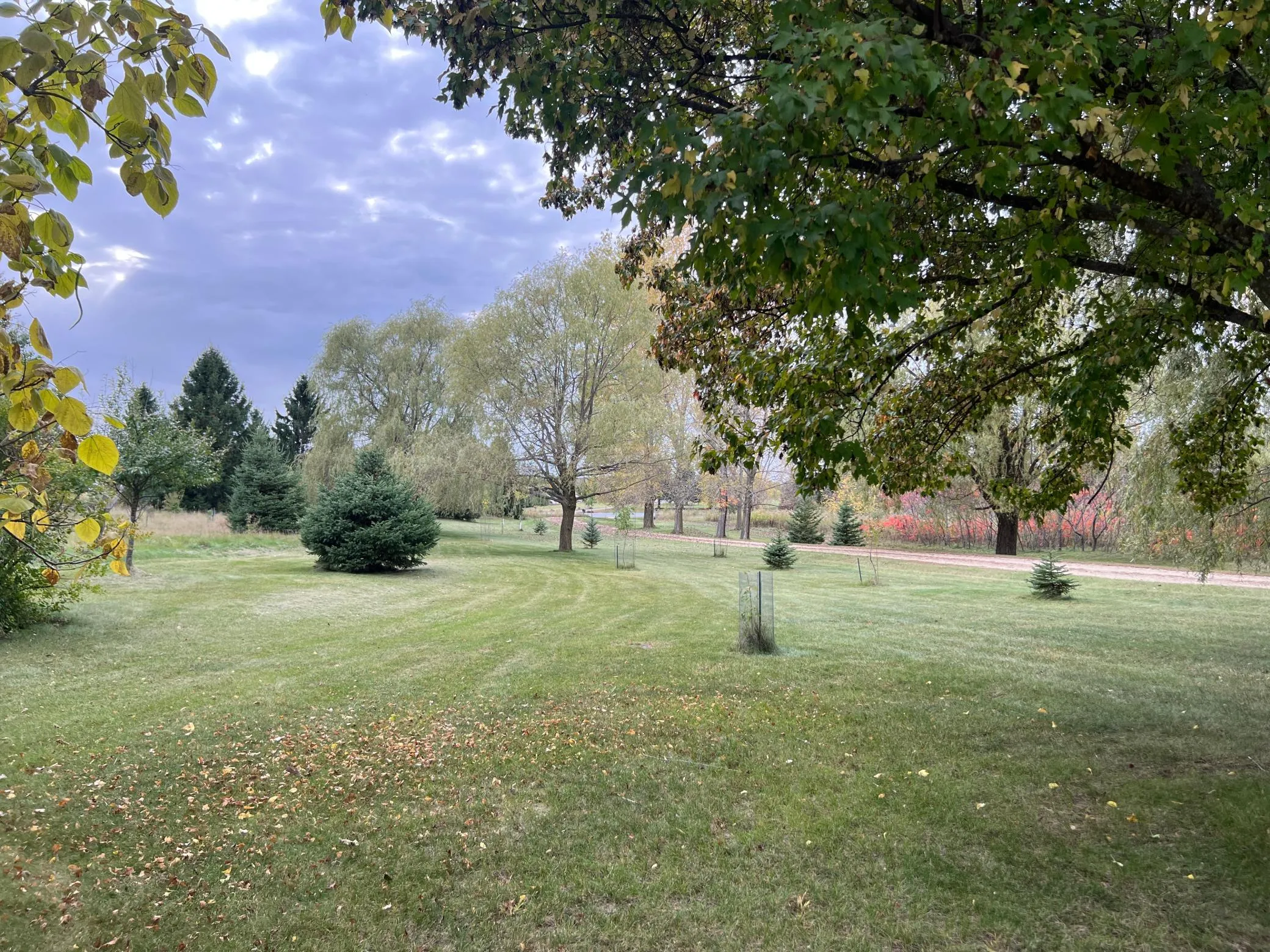 Photo 31 of 1739 97th Avenue