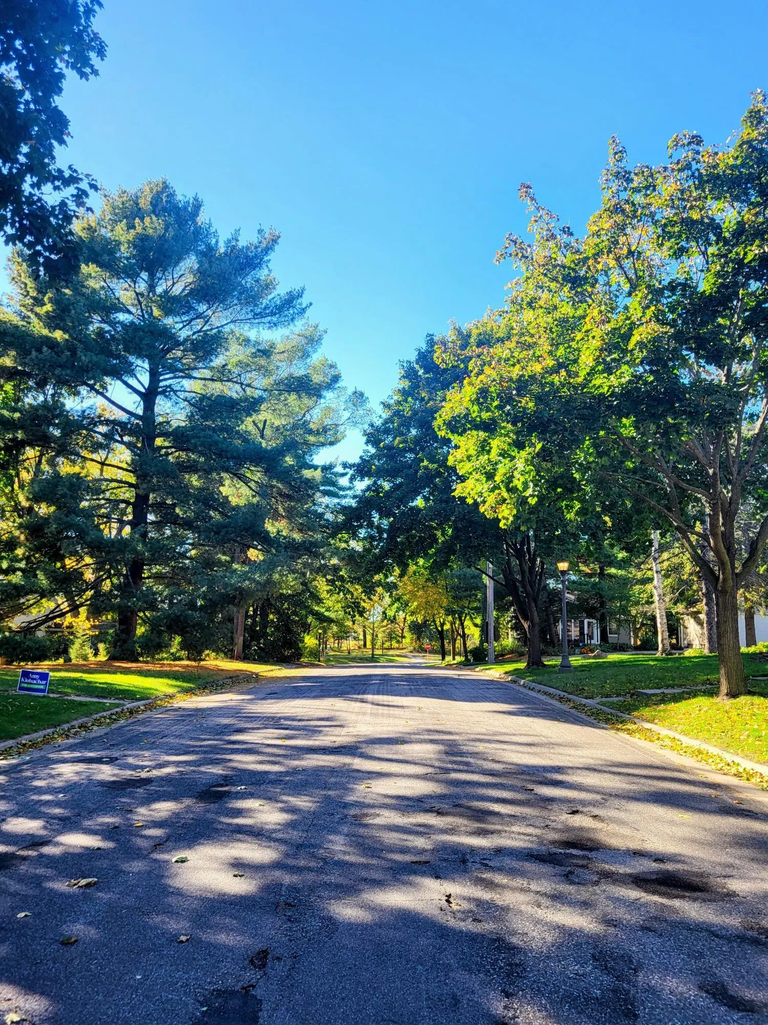 Photo 19 of 1208 Hoyt E Avenue