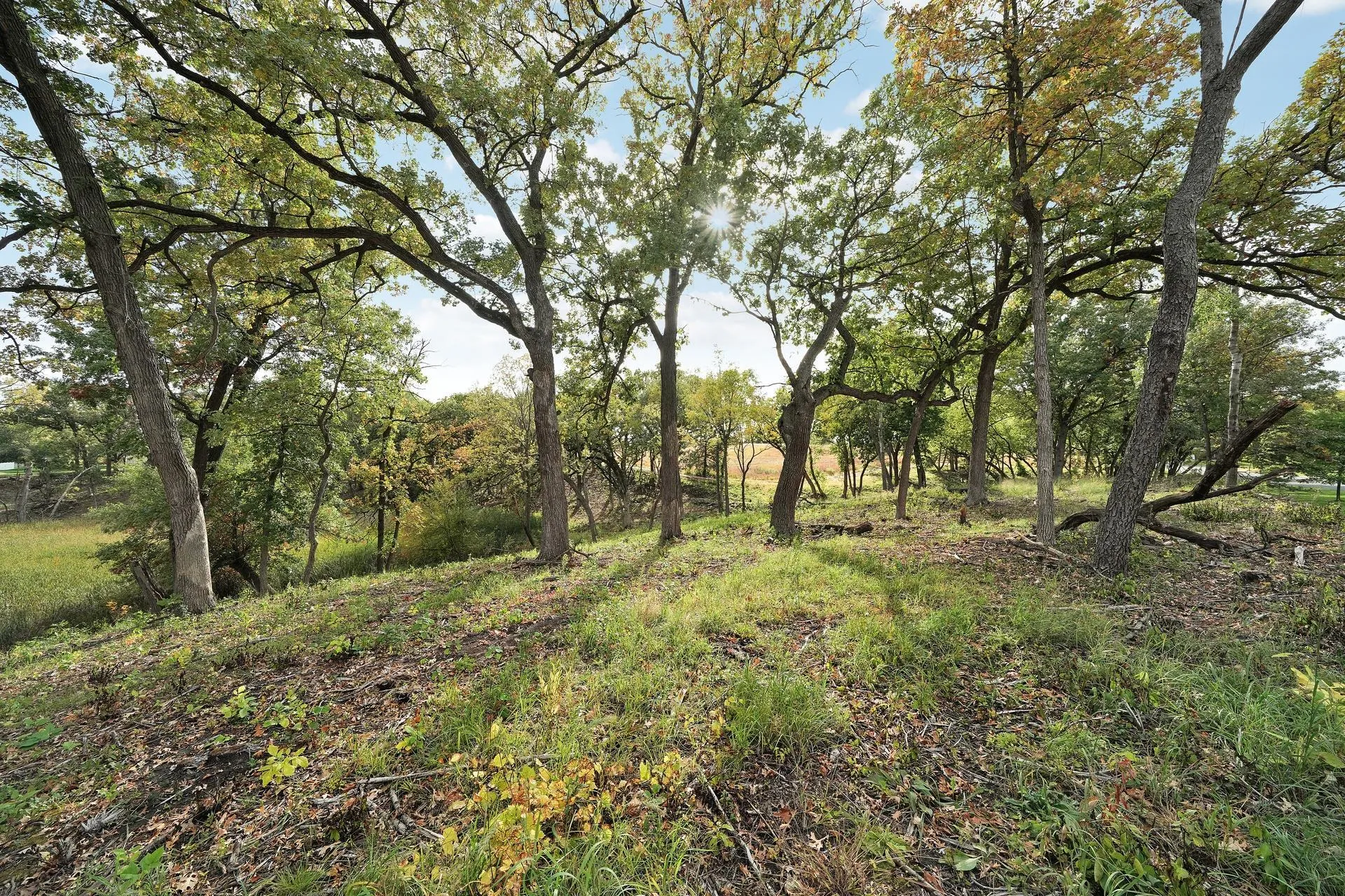 Photo 41 of 9716 Oxborough Road