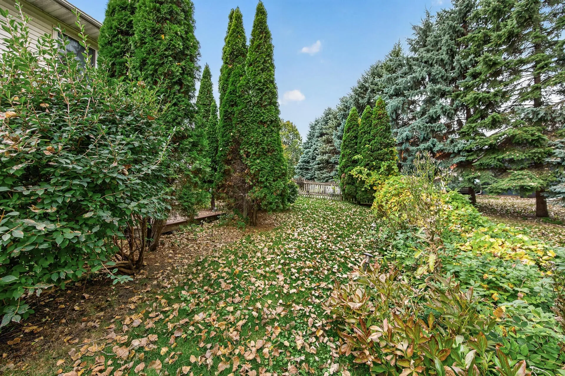 Photo 11 of 6195 River Mill Drive