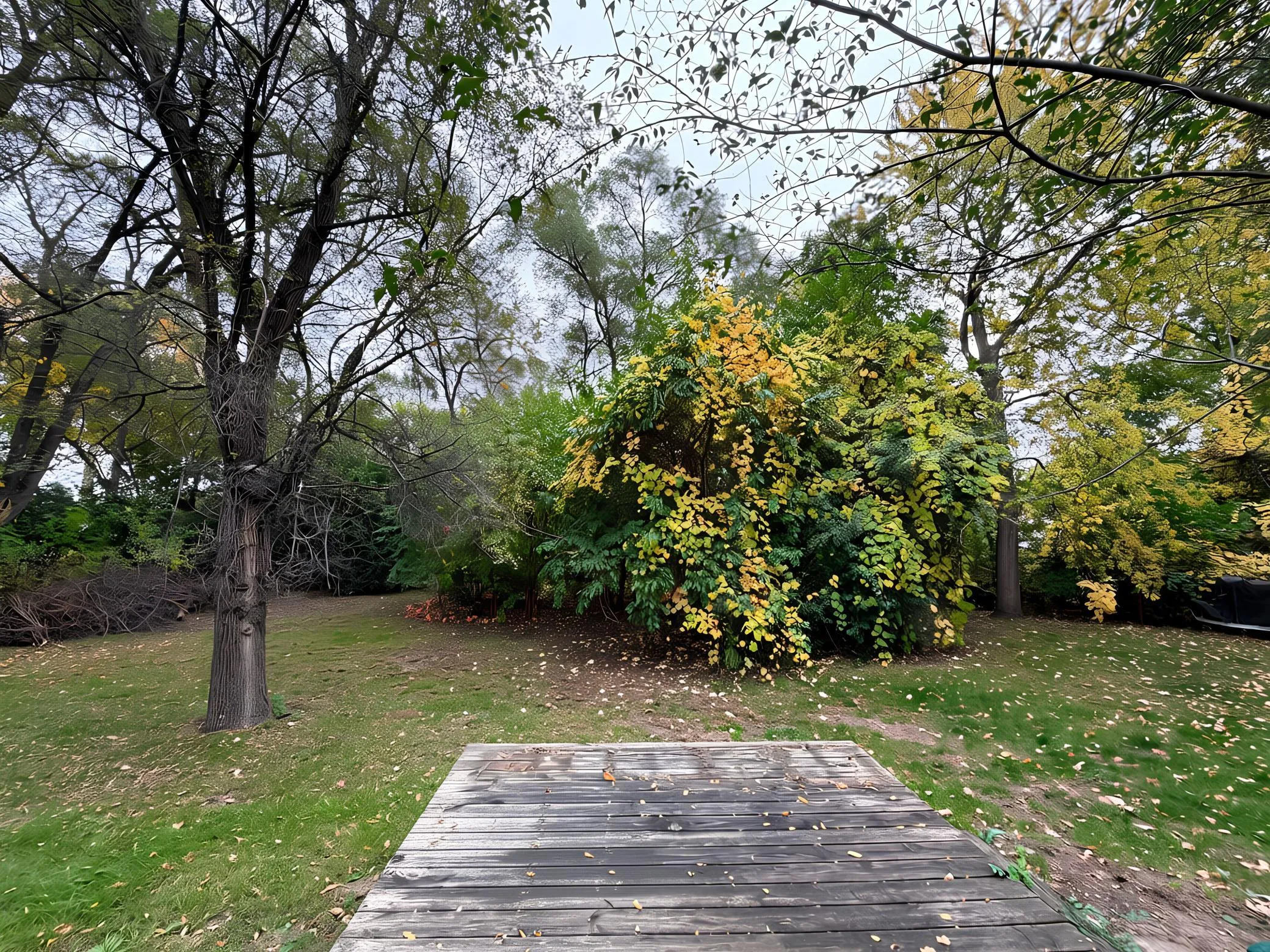 Photo 16 of 8455 Terrace Ne Road