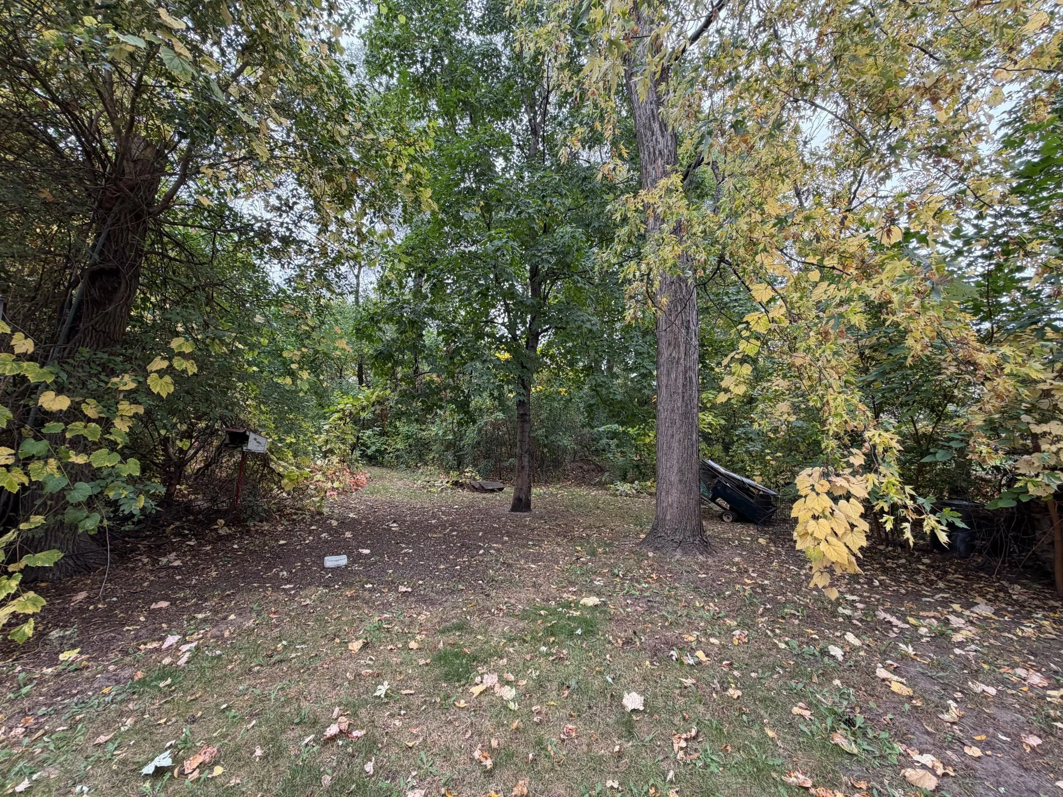 Photo 19 of 8455 Terrace Ne Road
