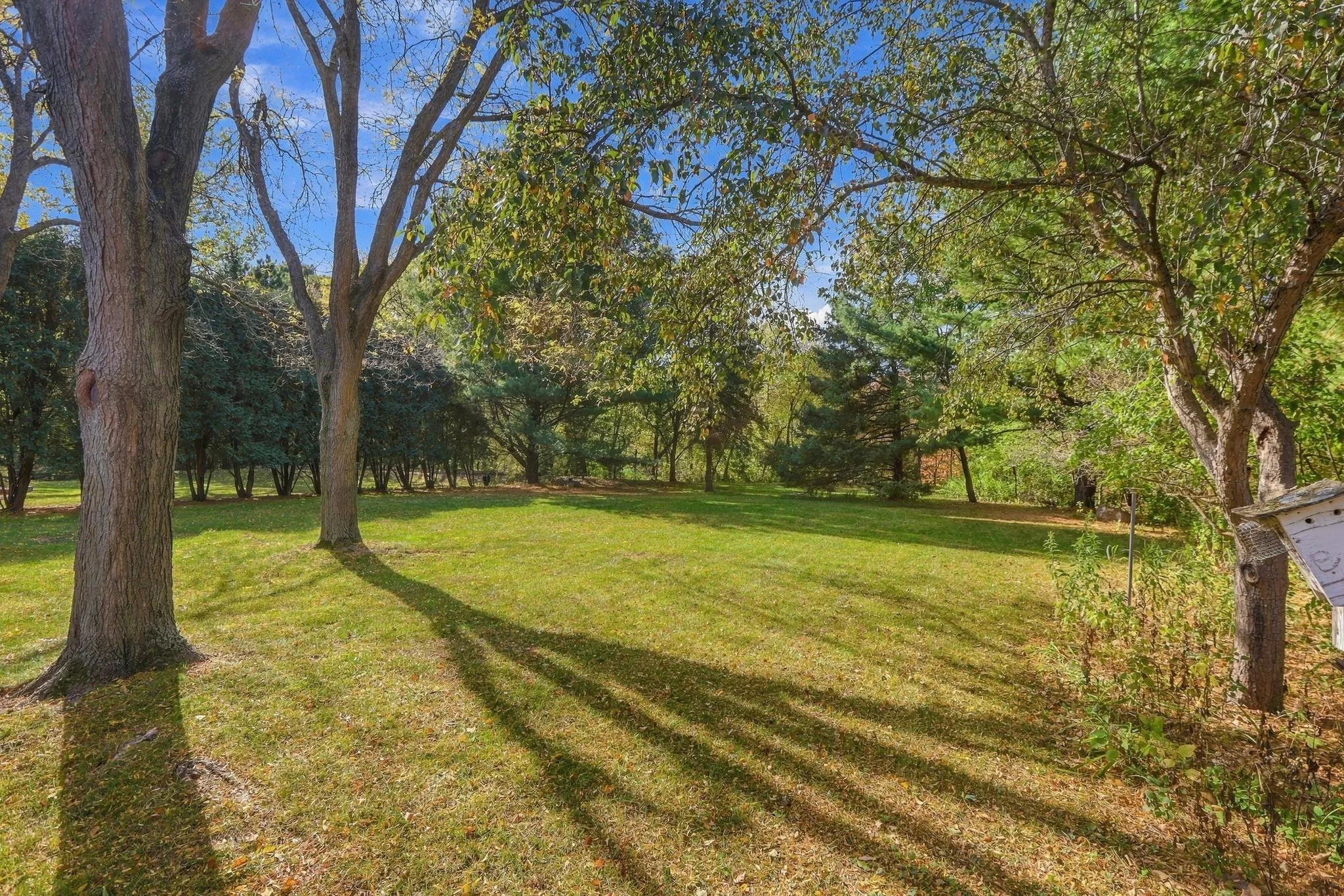 Photo 9 of 2354 Heights E Avenue