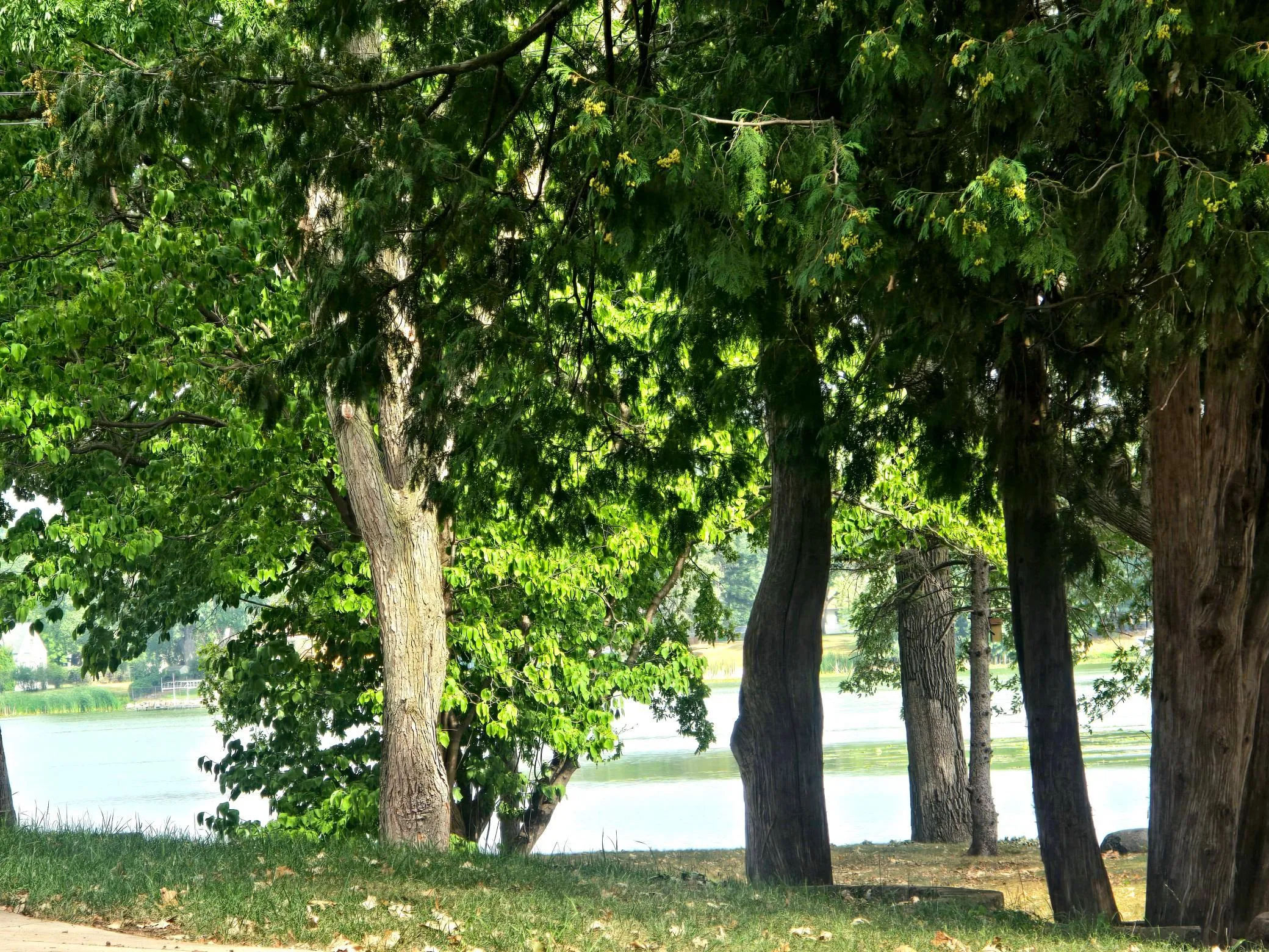 Photo 47 of 5330 Perry N Avenue
