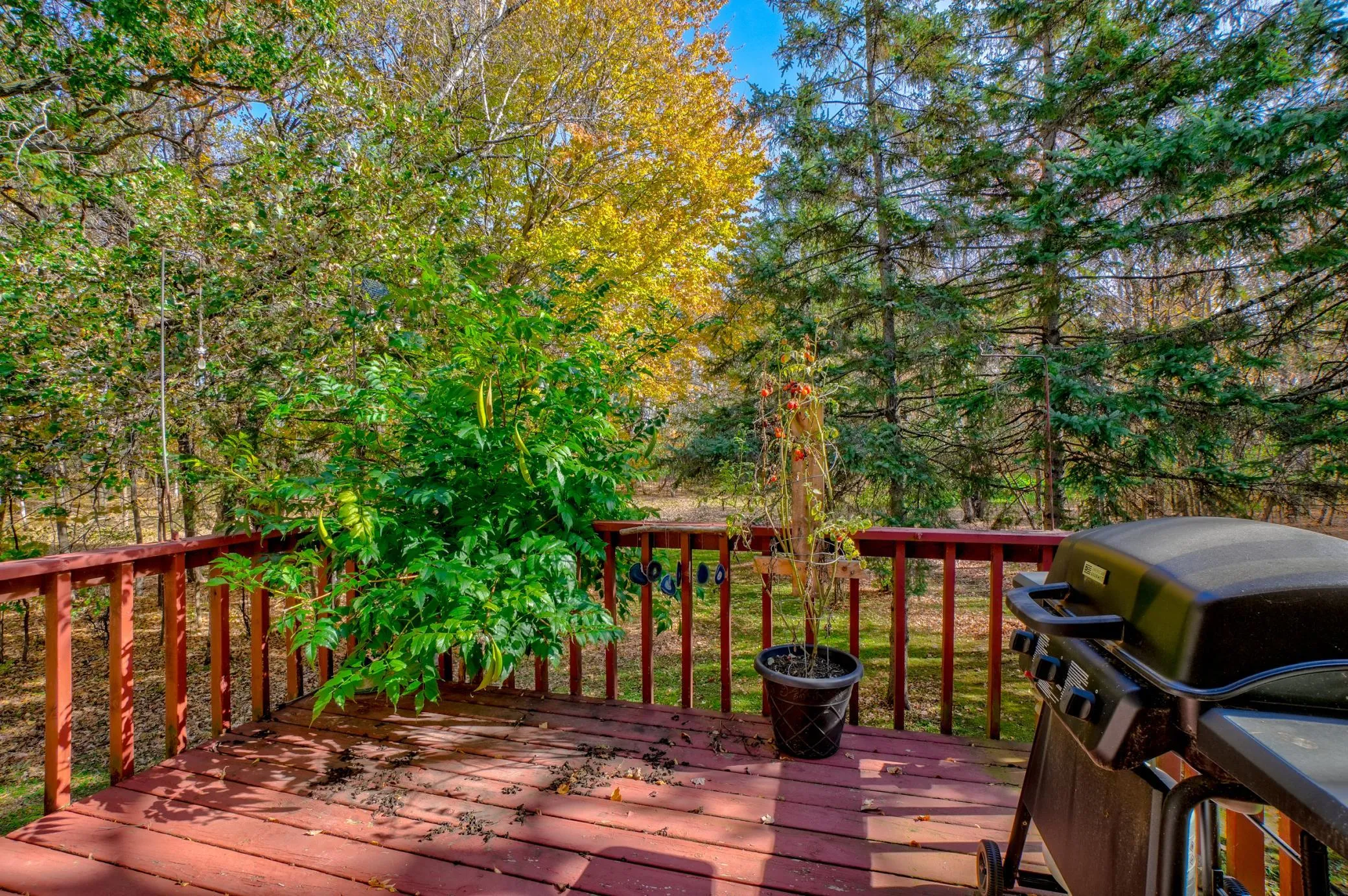 Photo 7 of 26731 Oakman Avenue