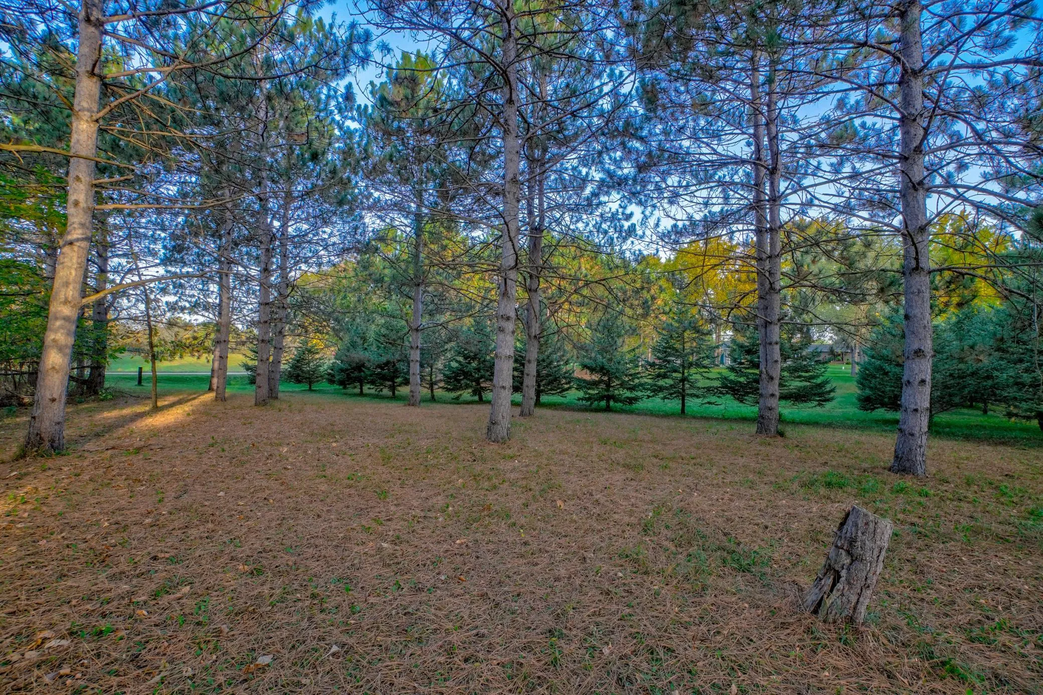 Photo 32 of 1416 County Road K