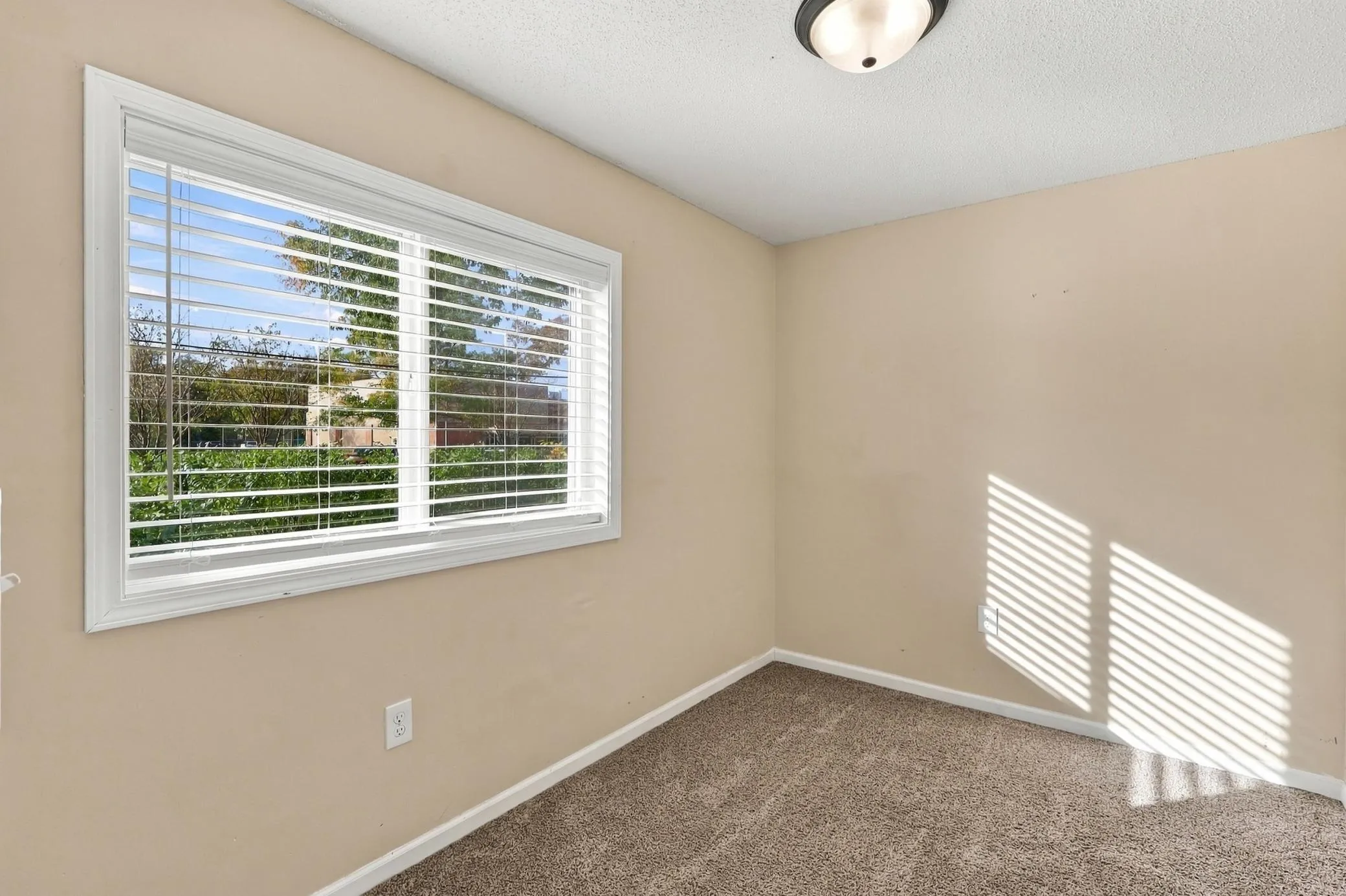 Photo 16 of 2063 2nd Street