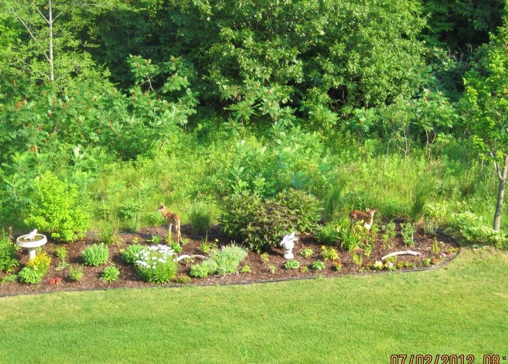 Photo 7 of 2321 Glacier Way