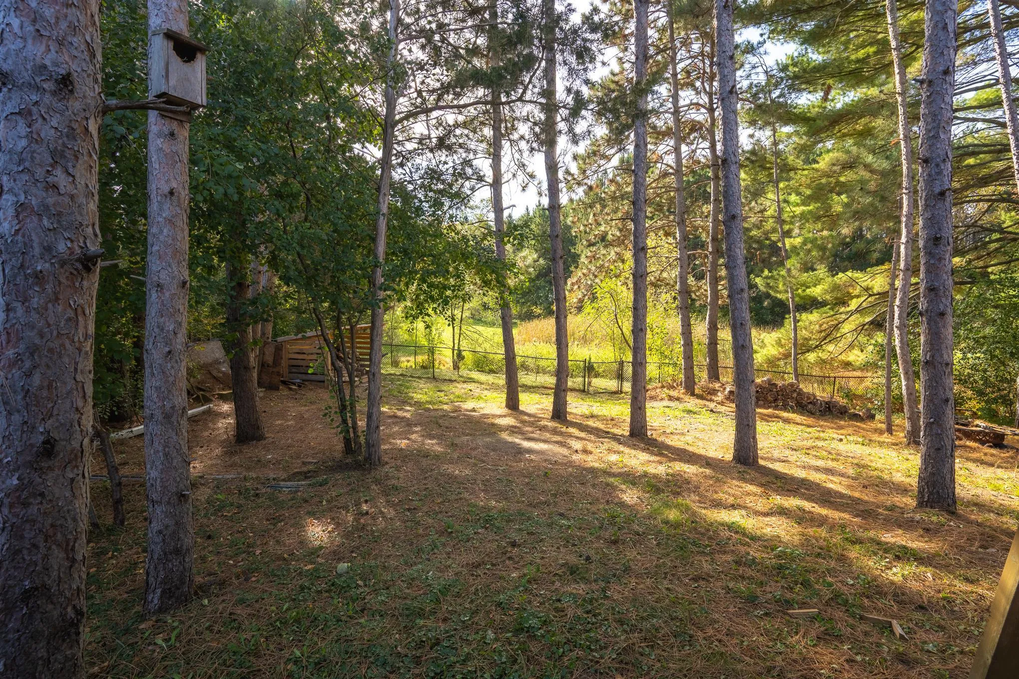 Photo 3 of 304 Evergreen Drive