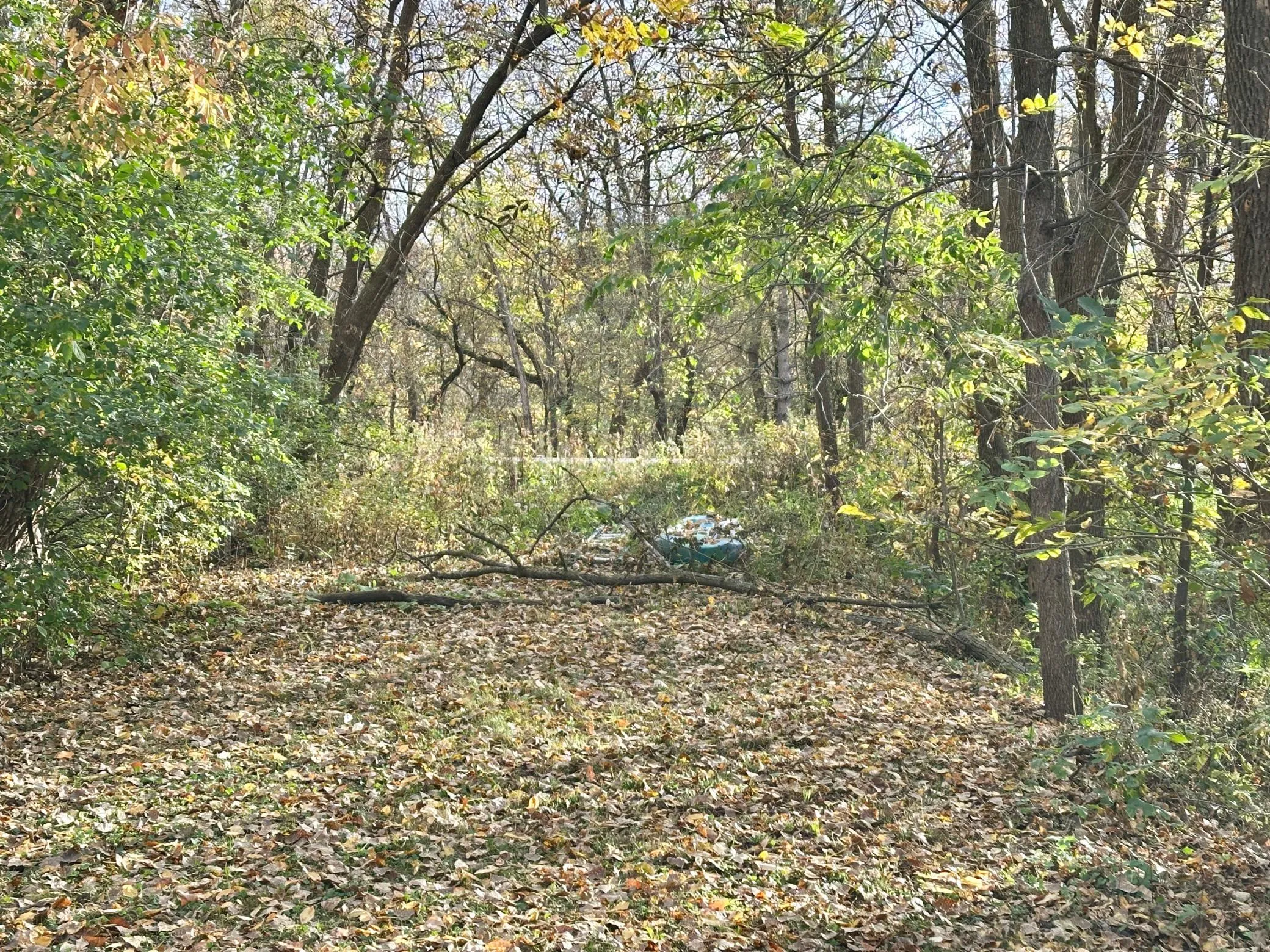 Photo 9 of 57 Cty Road Unit M