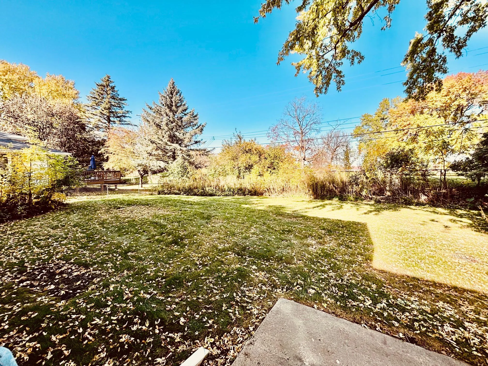 Photo 7 of 8208 40th N Avenue
