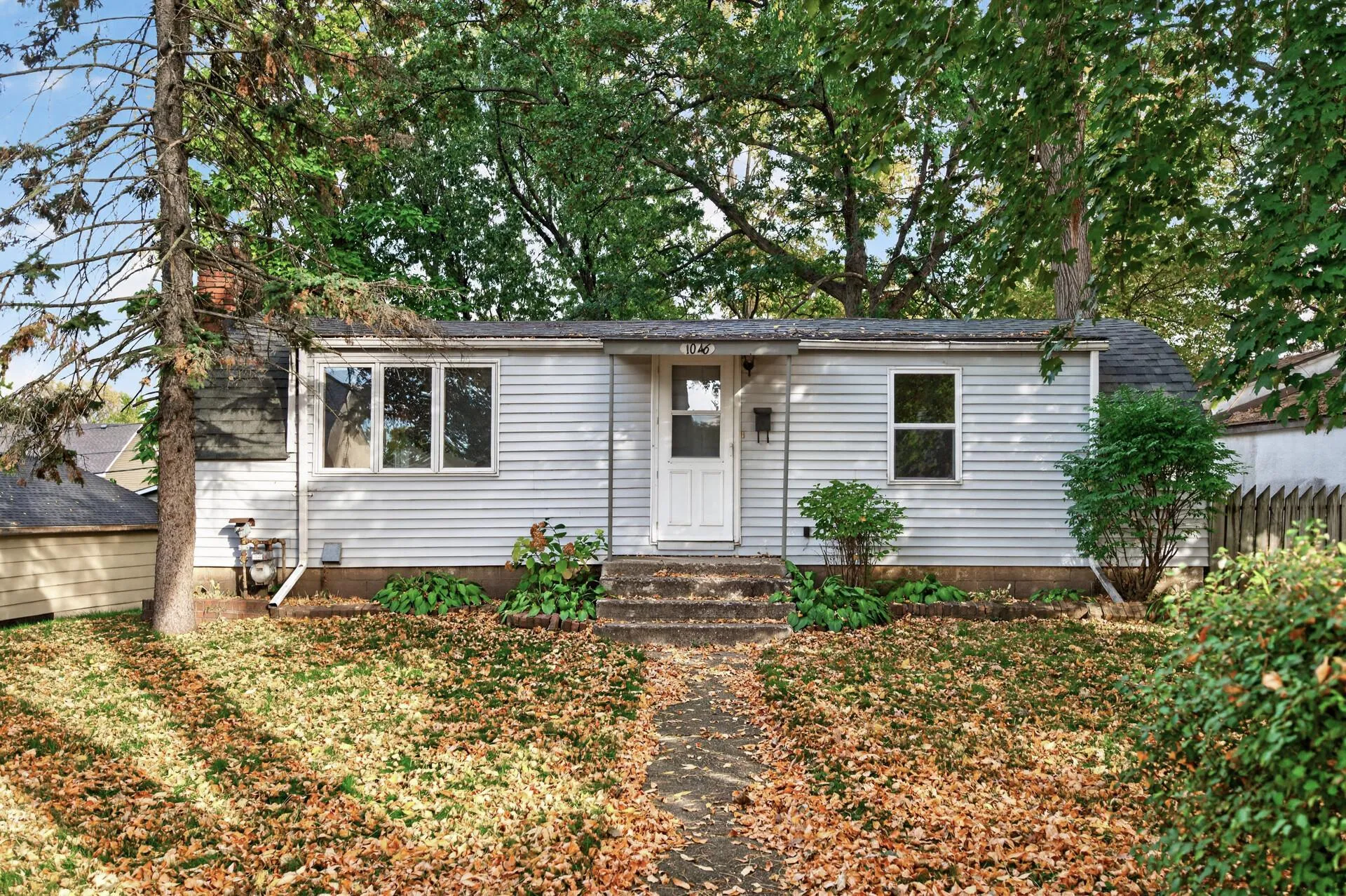 Photo 28 of 1046 Felix Street