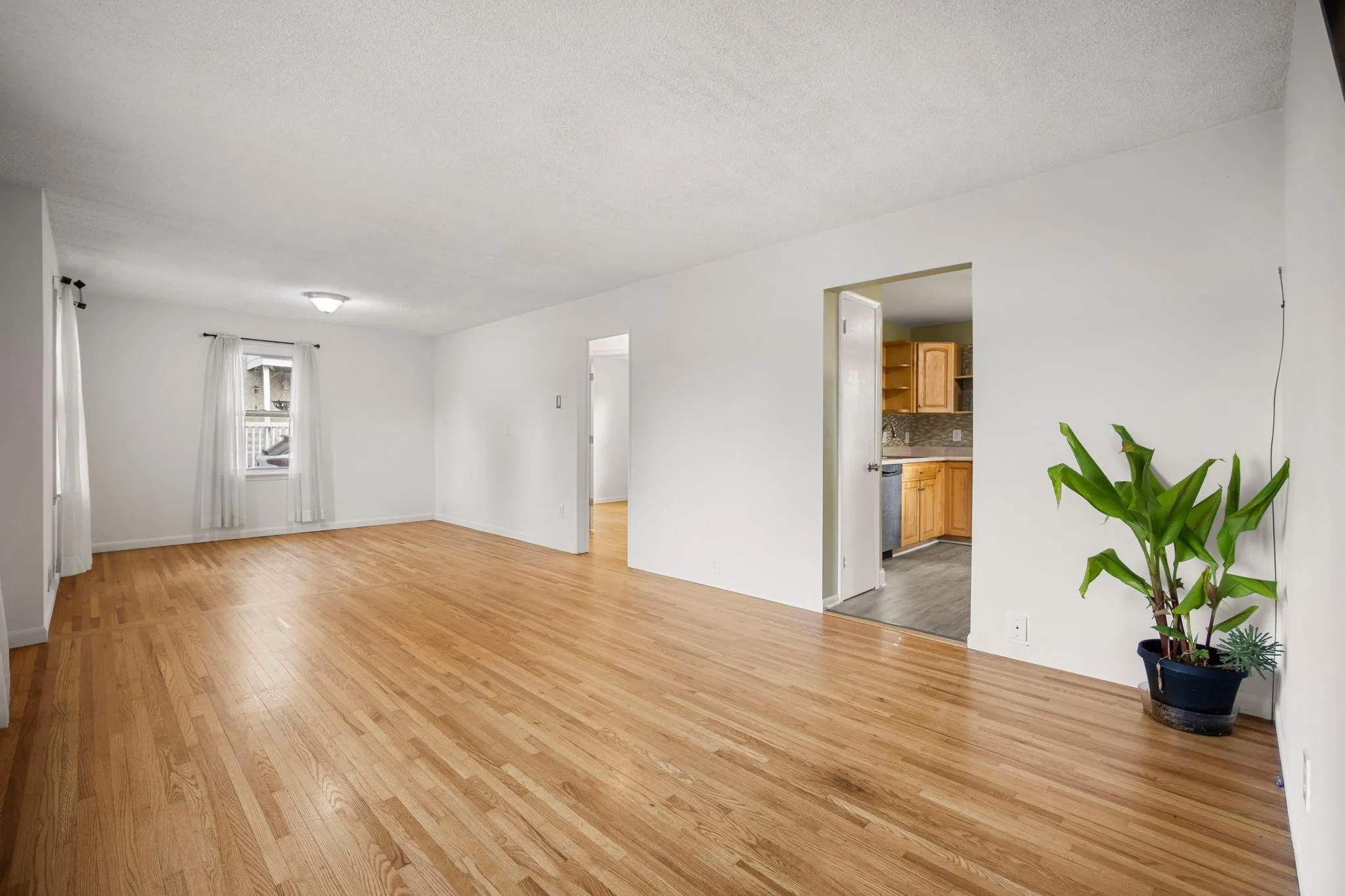 Photo 10 of 1844 Barclay Street
