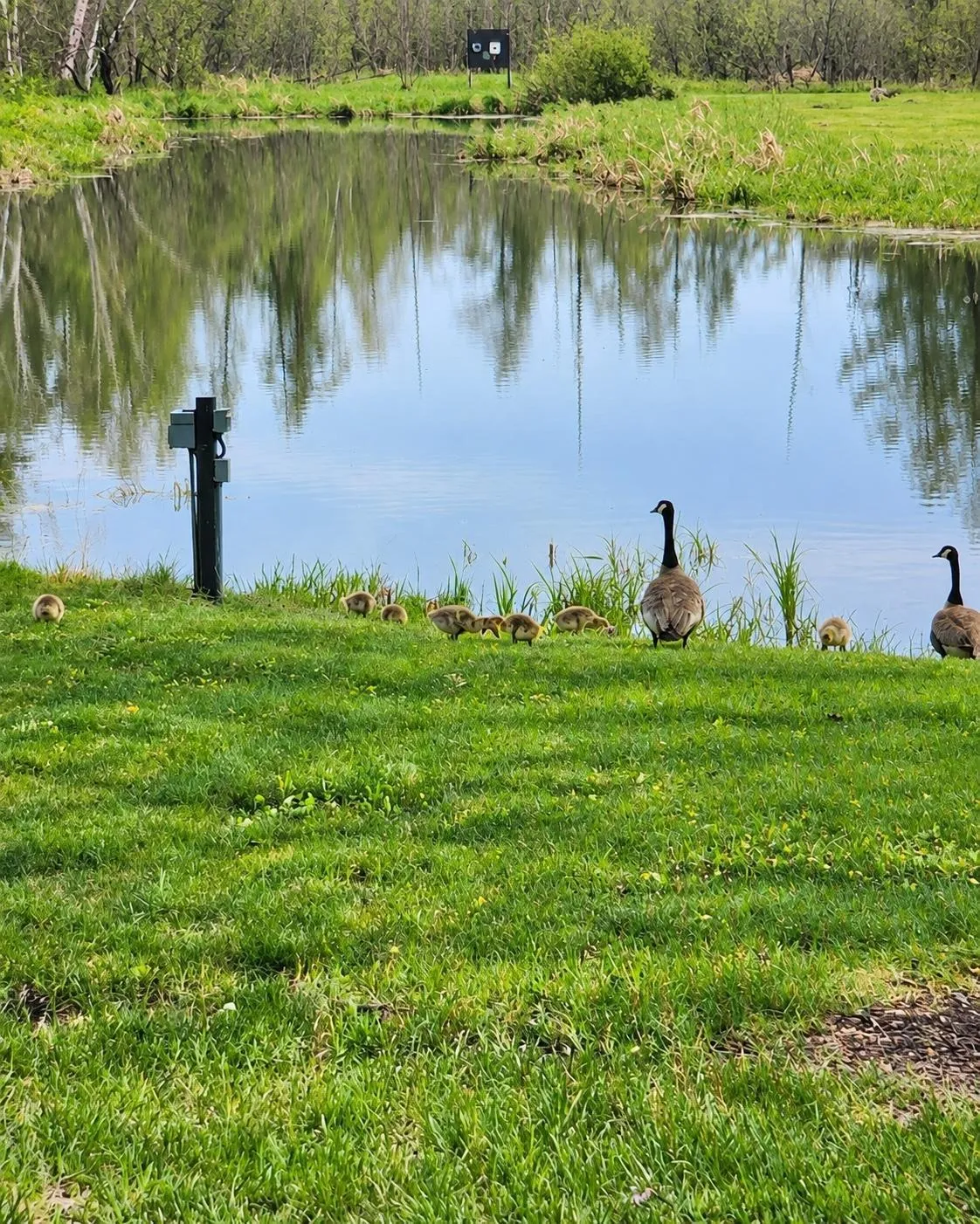 Photo 39 of 25053 Typo Creek Ne Drive