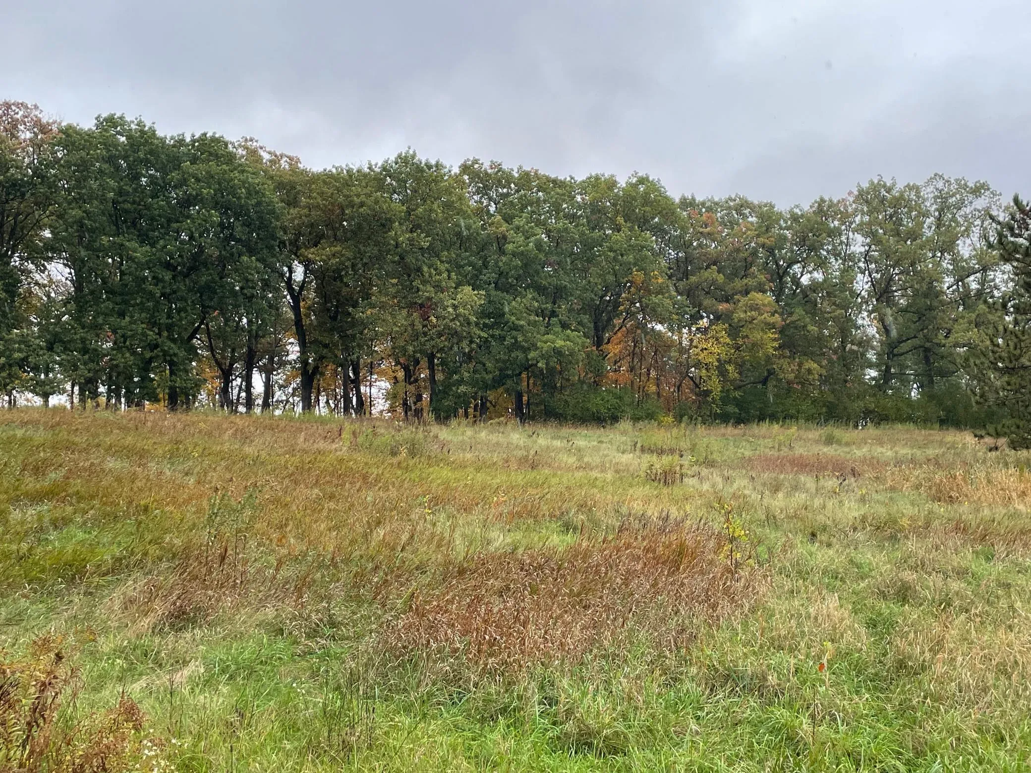 Photo 12 of 5460 Vicksburg N Lane