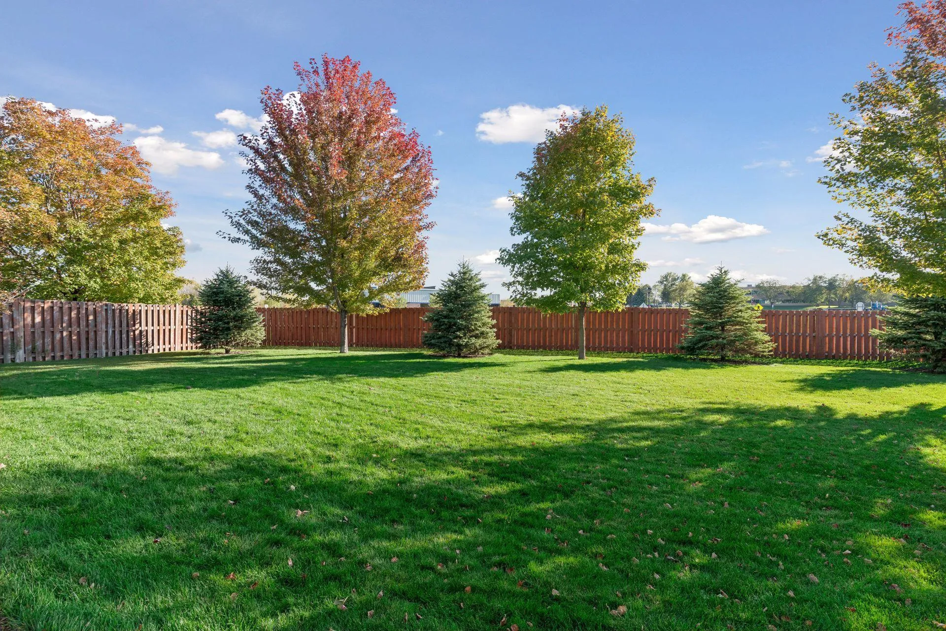 Photo 47 of 14880 Brenner Court