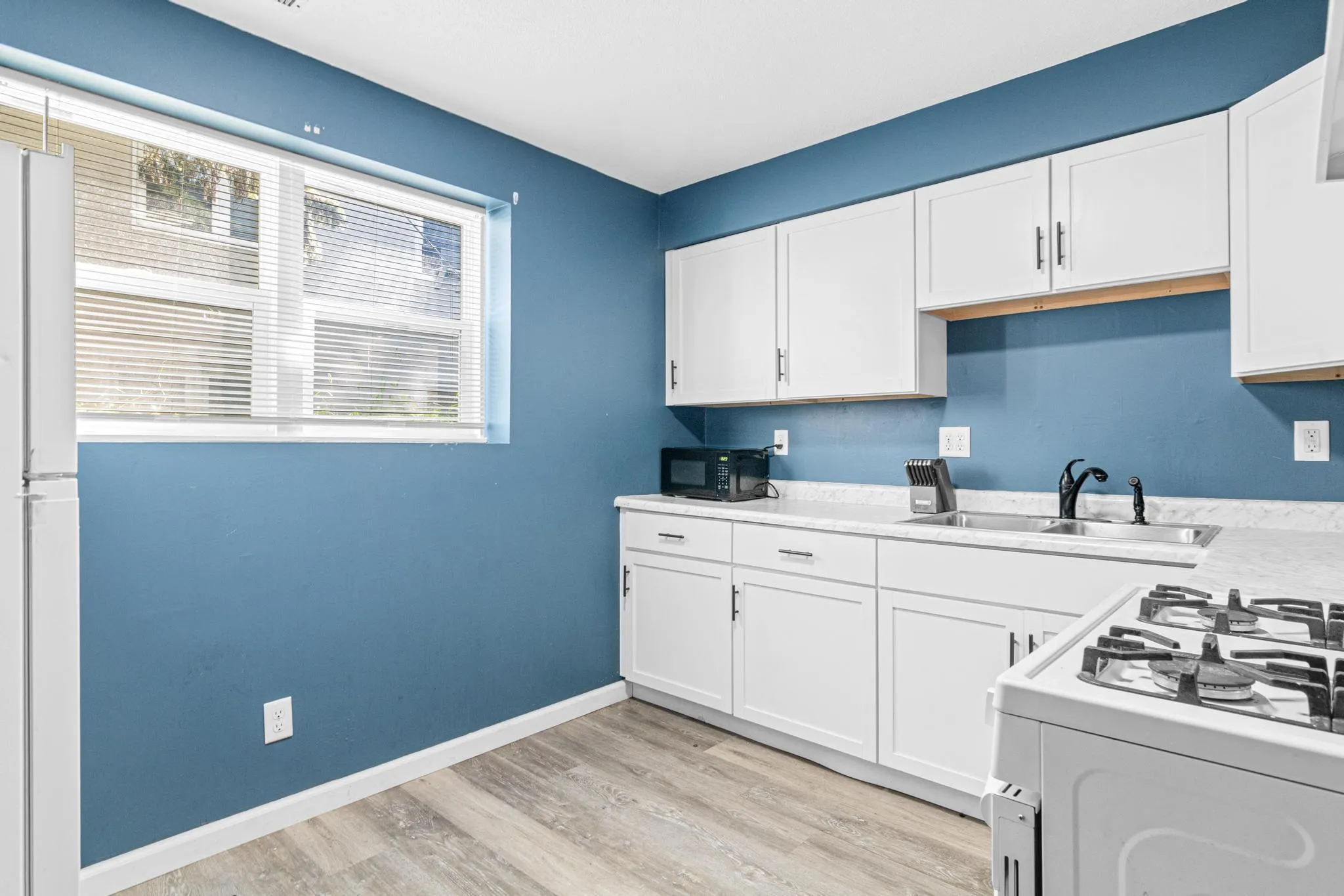 Photo 8 of 1165 Norton Street