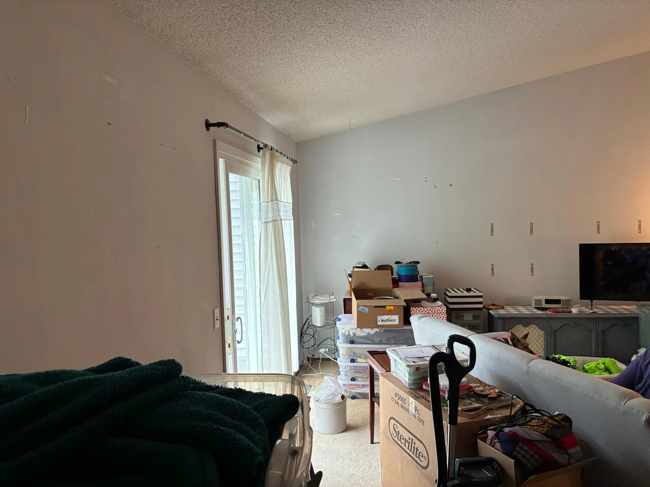 Photo 6 of 3575 Blue Jay Way Unit 202
