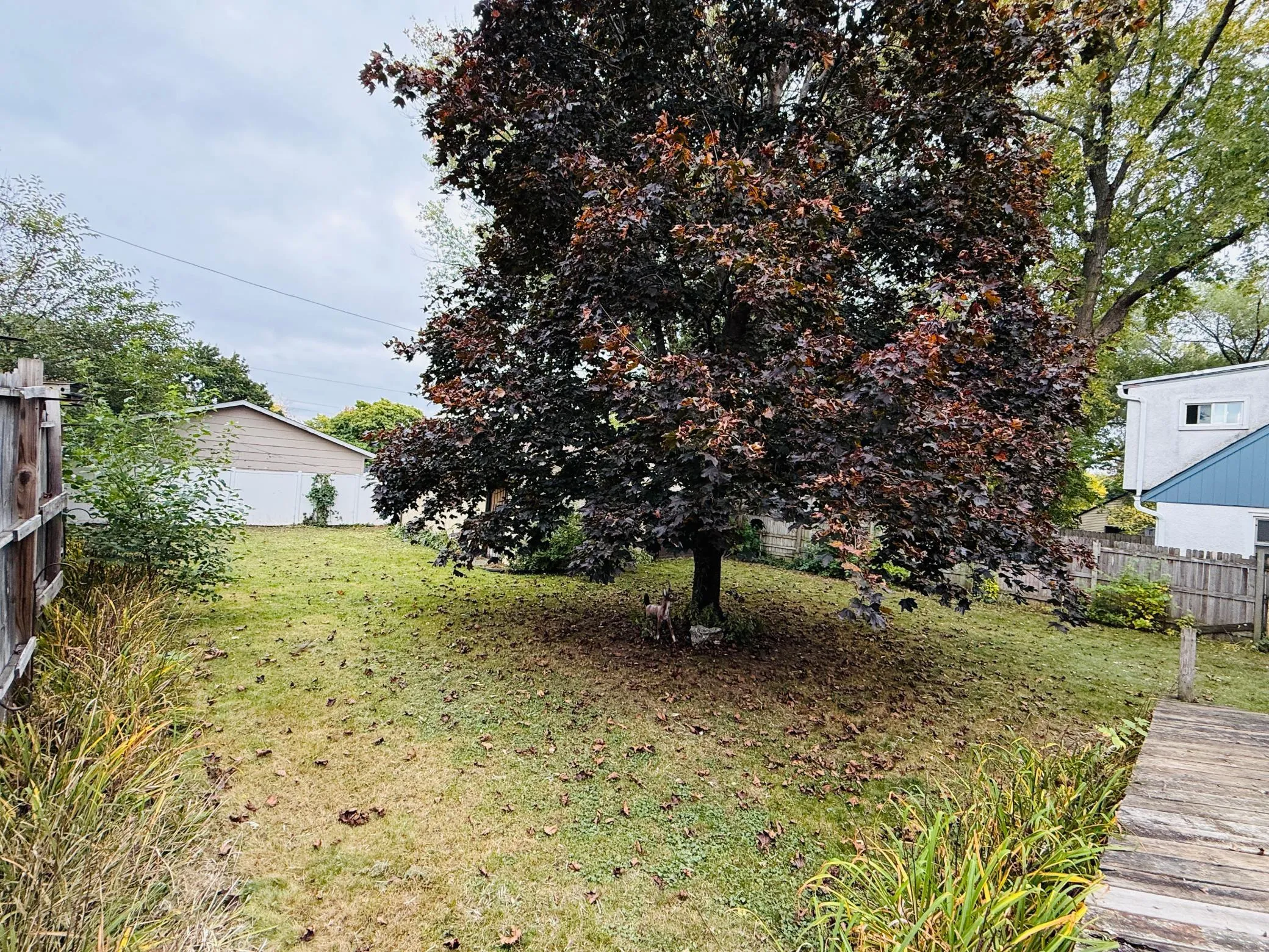 Photo 20 of 886 Iroquois Avenue