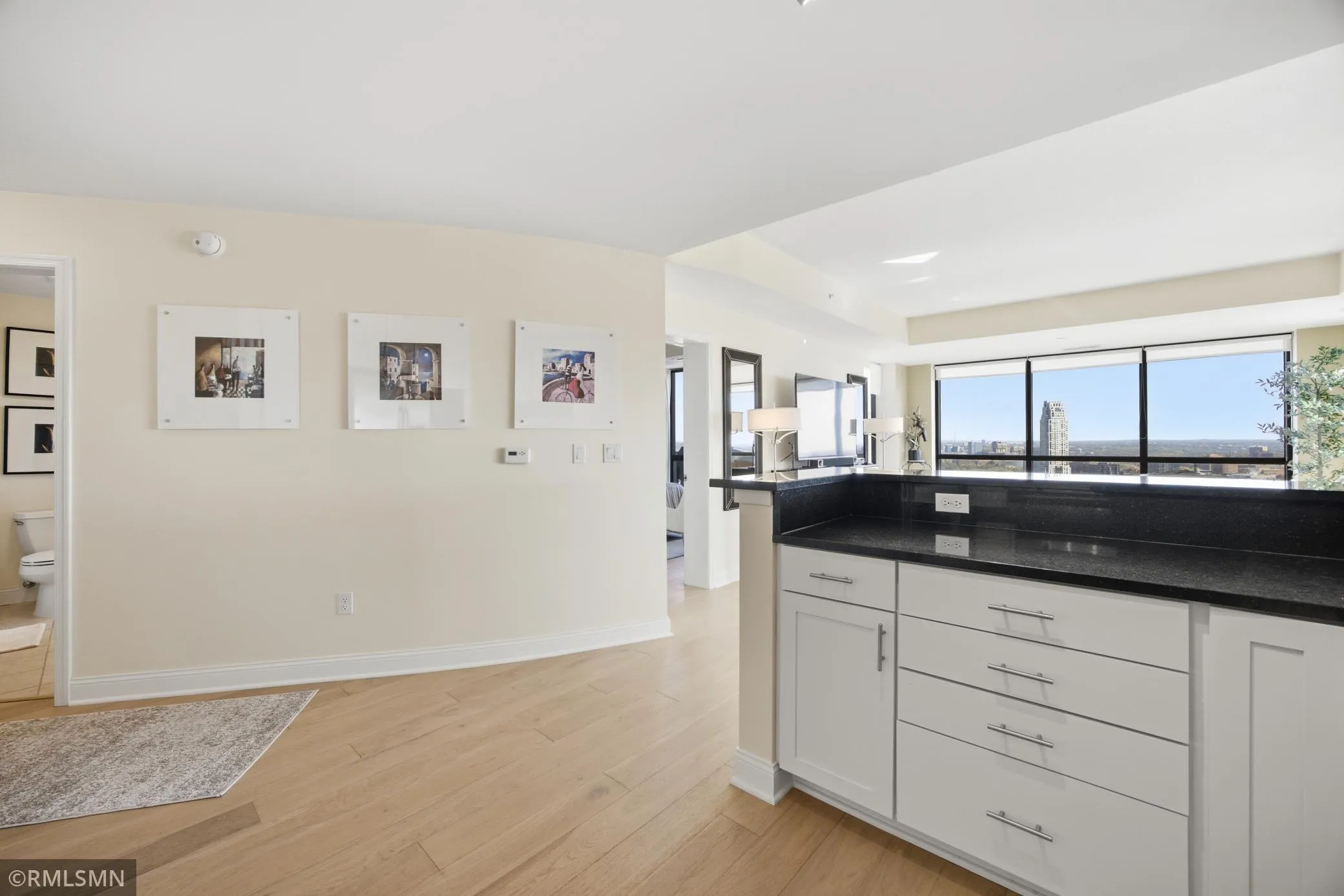 Photo 14 of 100 3rd S Avenue Unit 3008