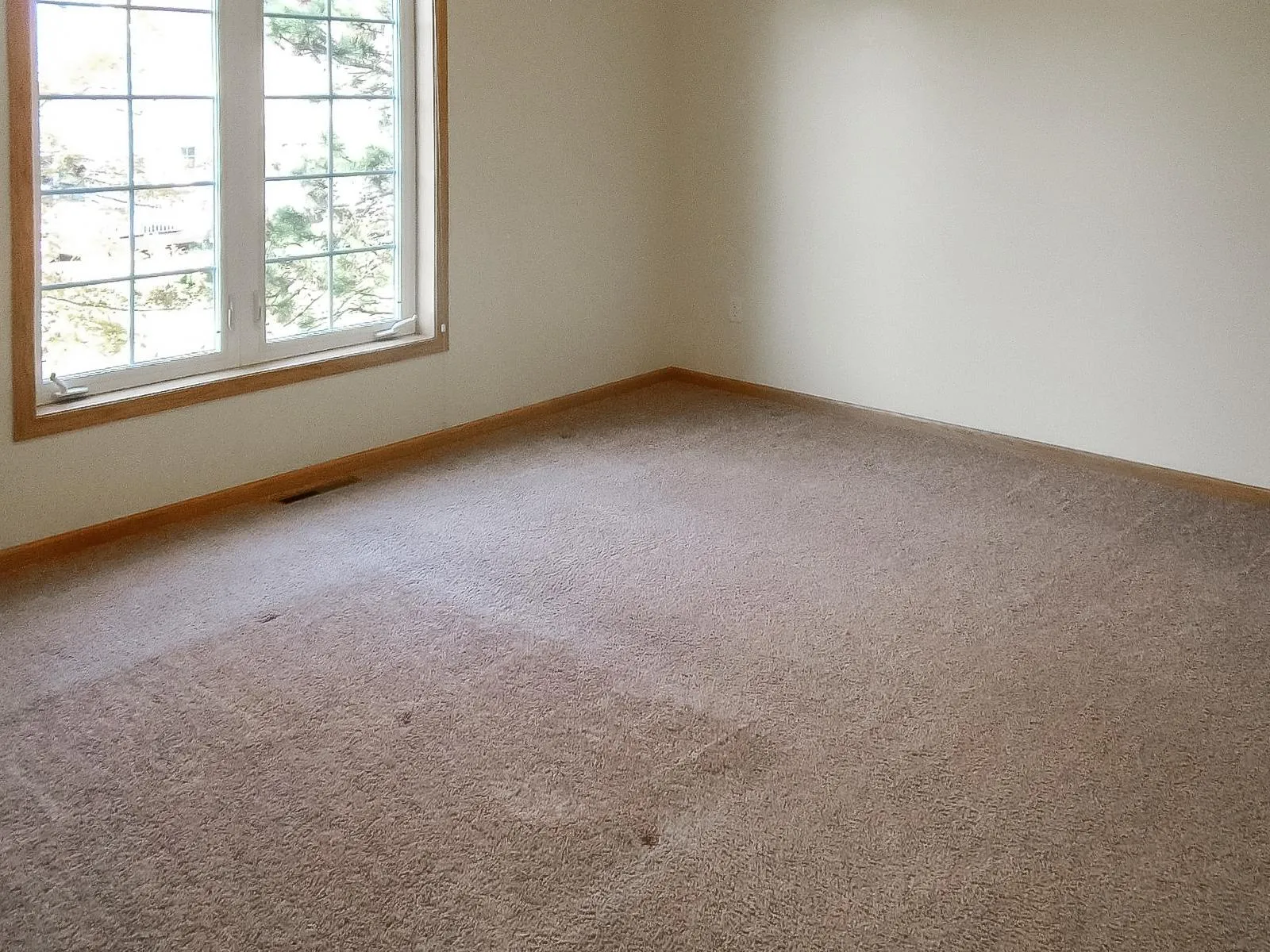 Photo 18 of 20657 Eastview Avenue