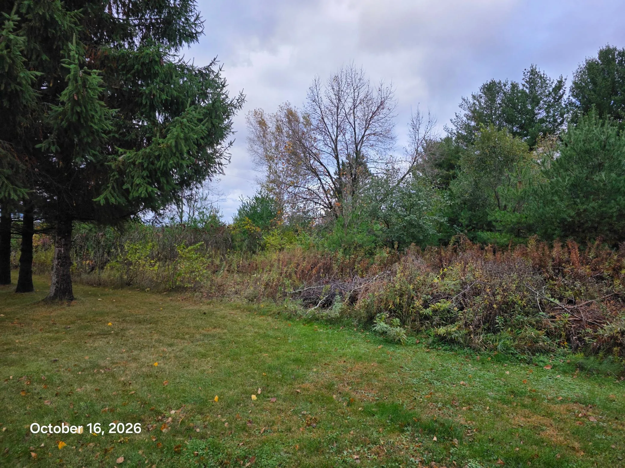 Photo 4 of 12xx 200th Avenue