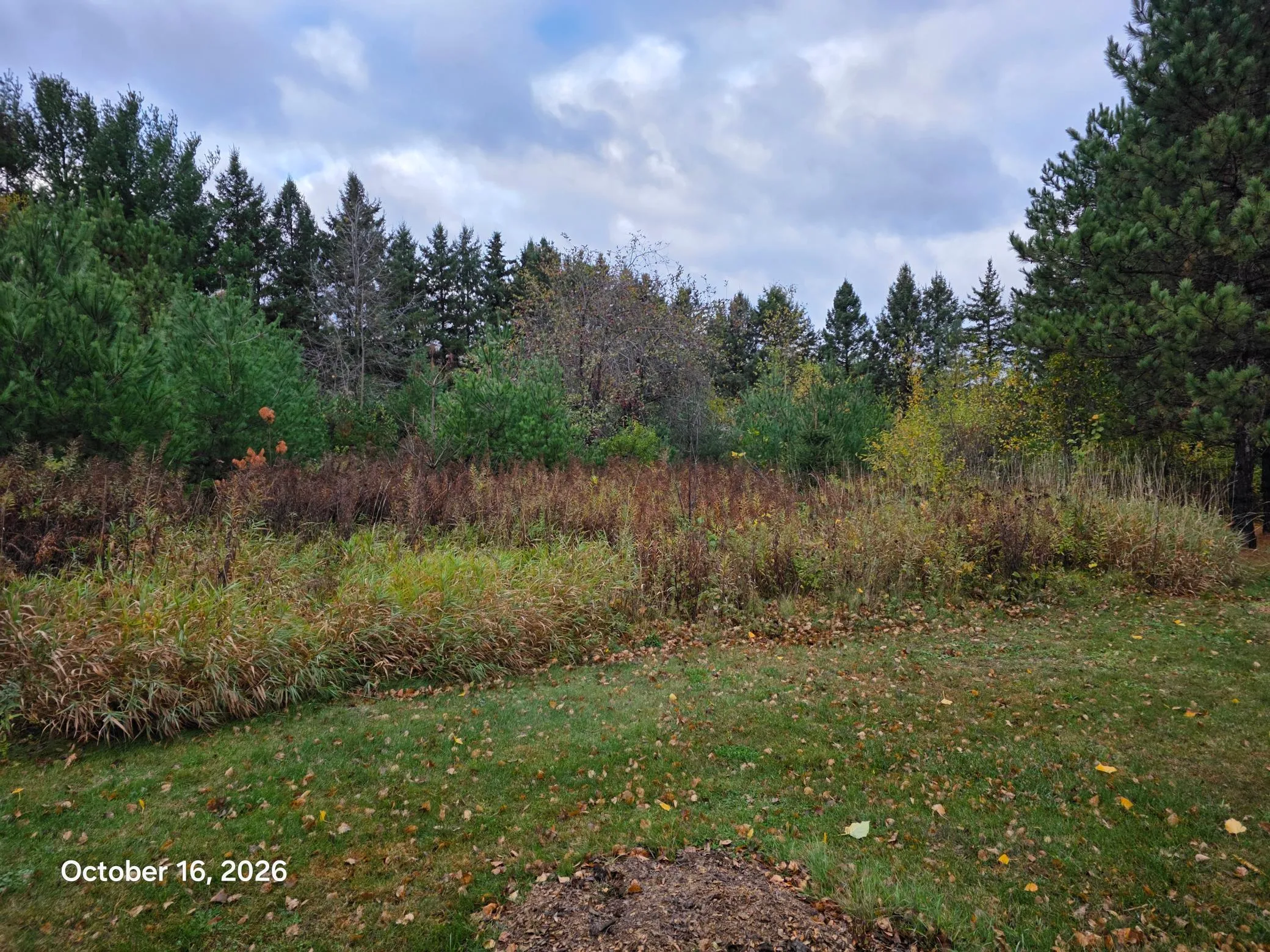 Photo 6 of 12xx 200th Avenue