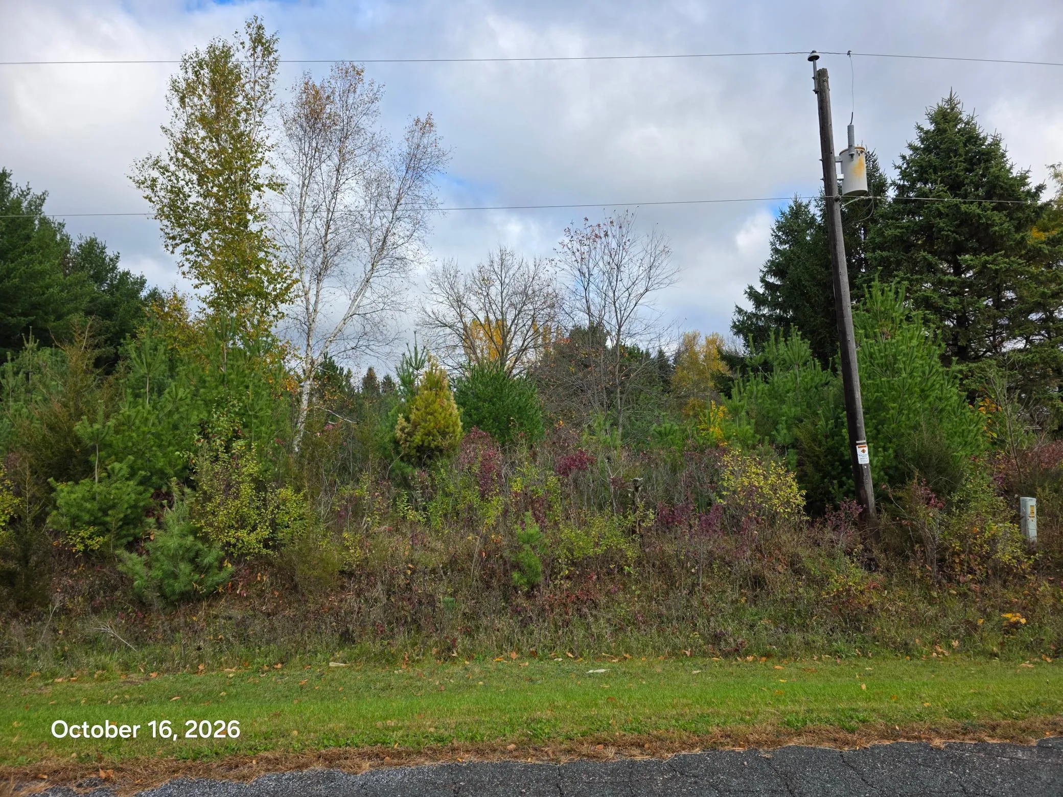 Photo 3 of 12xx 200th Avenue