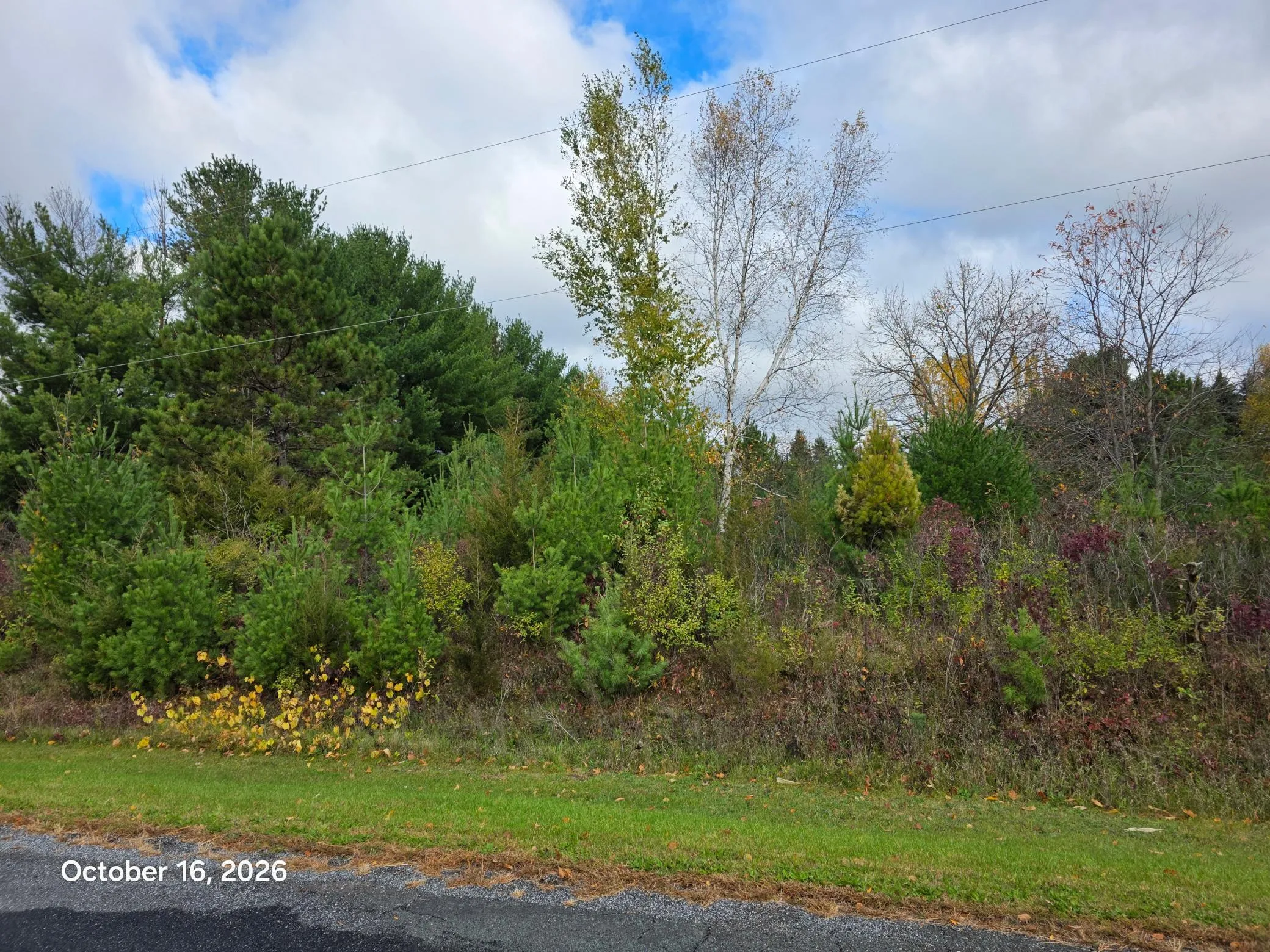 Photo 2 of 12xx 200th Avenue