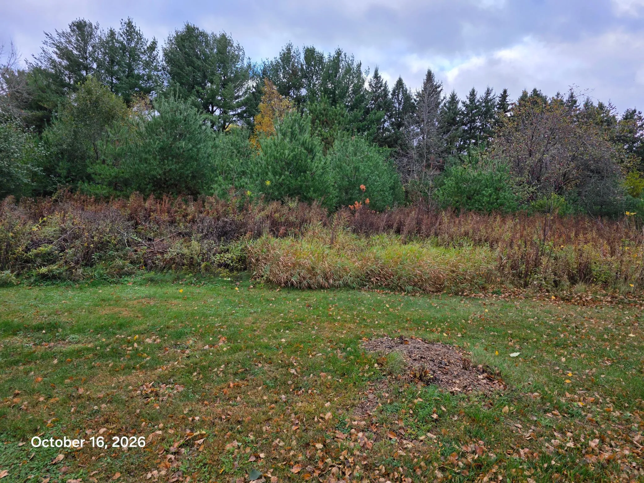 Photo 5 of 12xx 200th Avenue