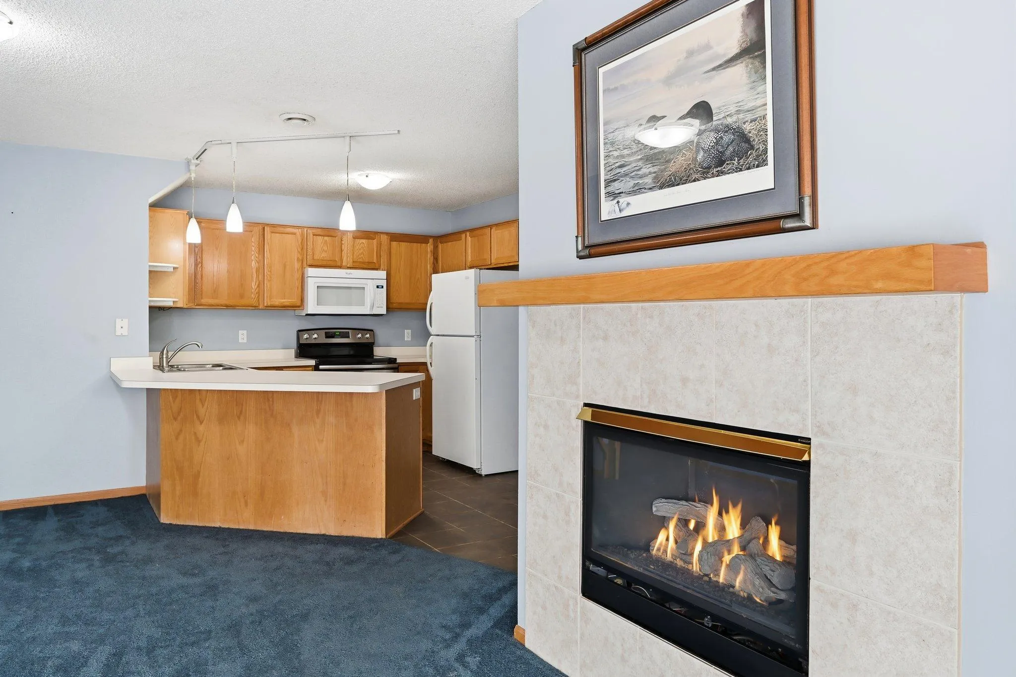 Photo 11 of 1737 Riverwood Drive Unit 72