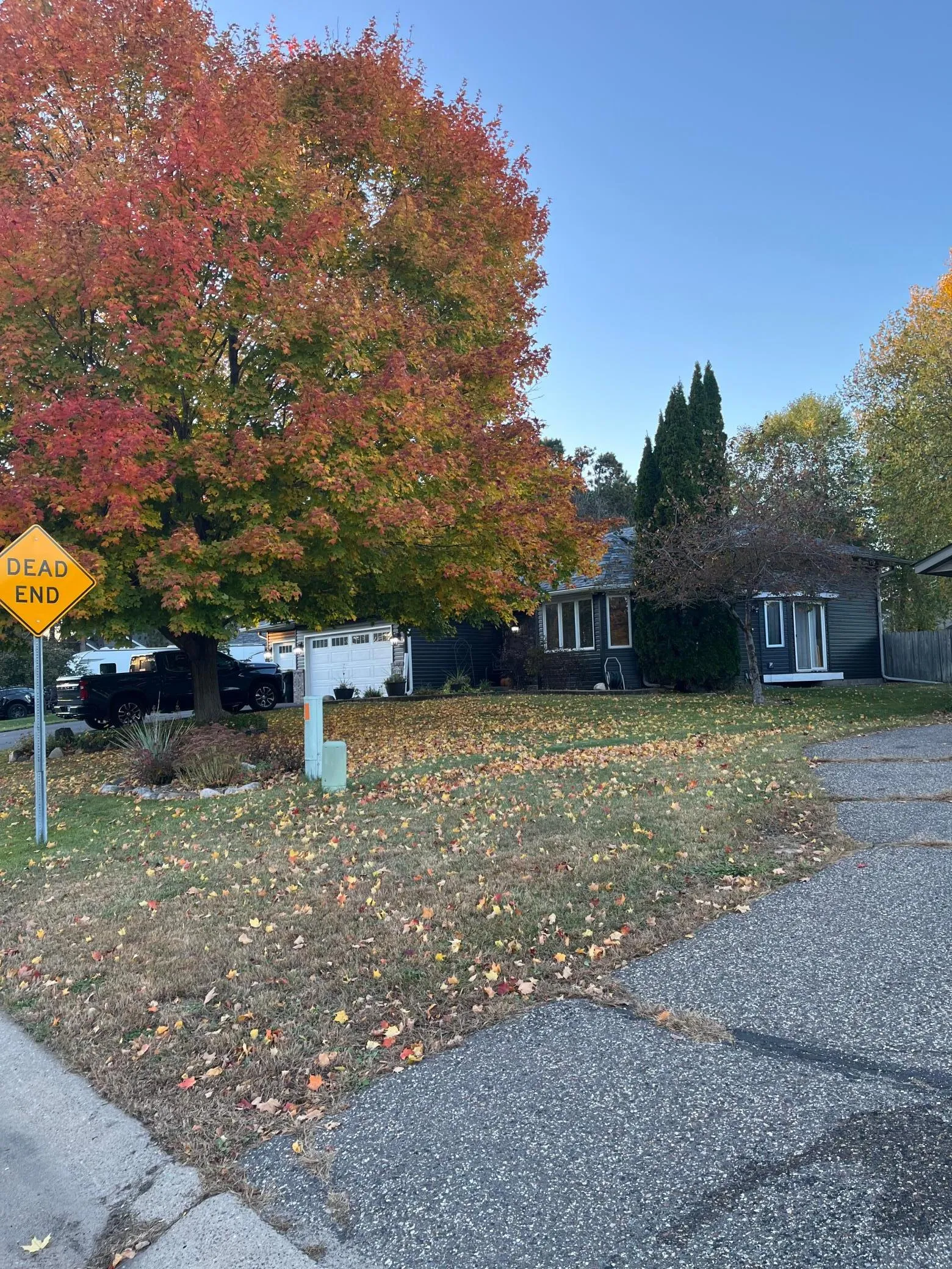 Photo 41 of 4153 146th Nw Avenue
