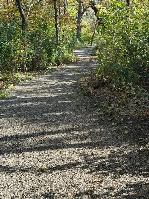Photo 37 of 1880 Black Oaks N Lane
