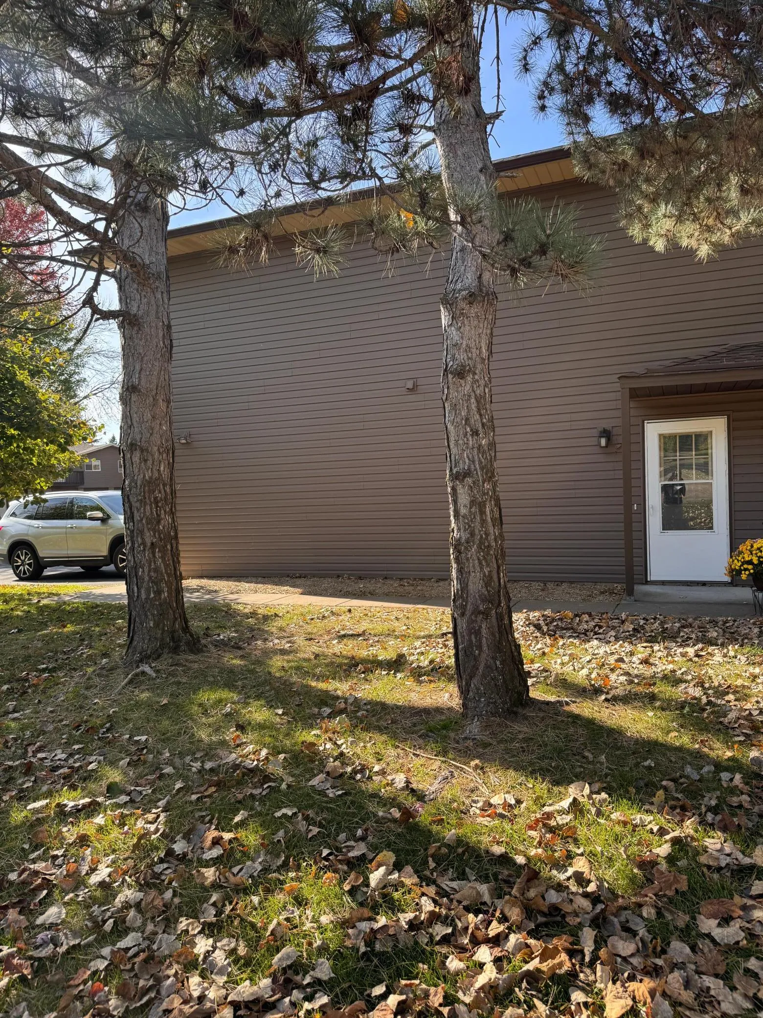 Photo 4 of 2239 Pinehurst Street