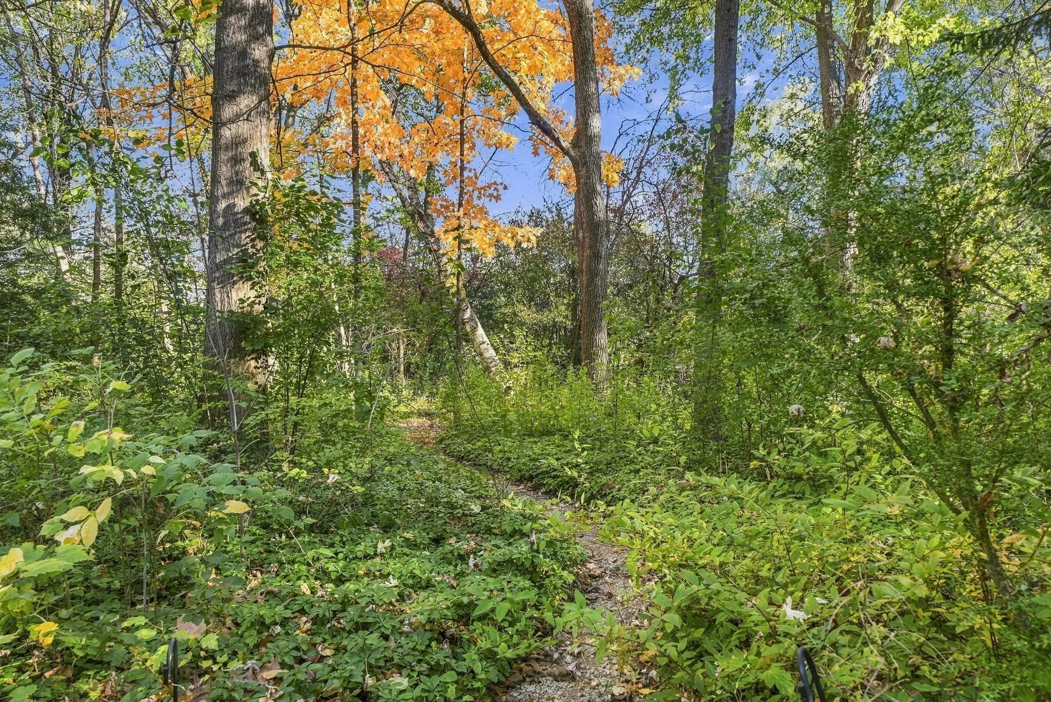 Photo 83 of 4 W Pleasant Lake Road