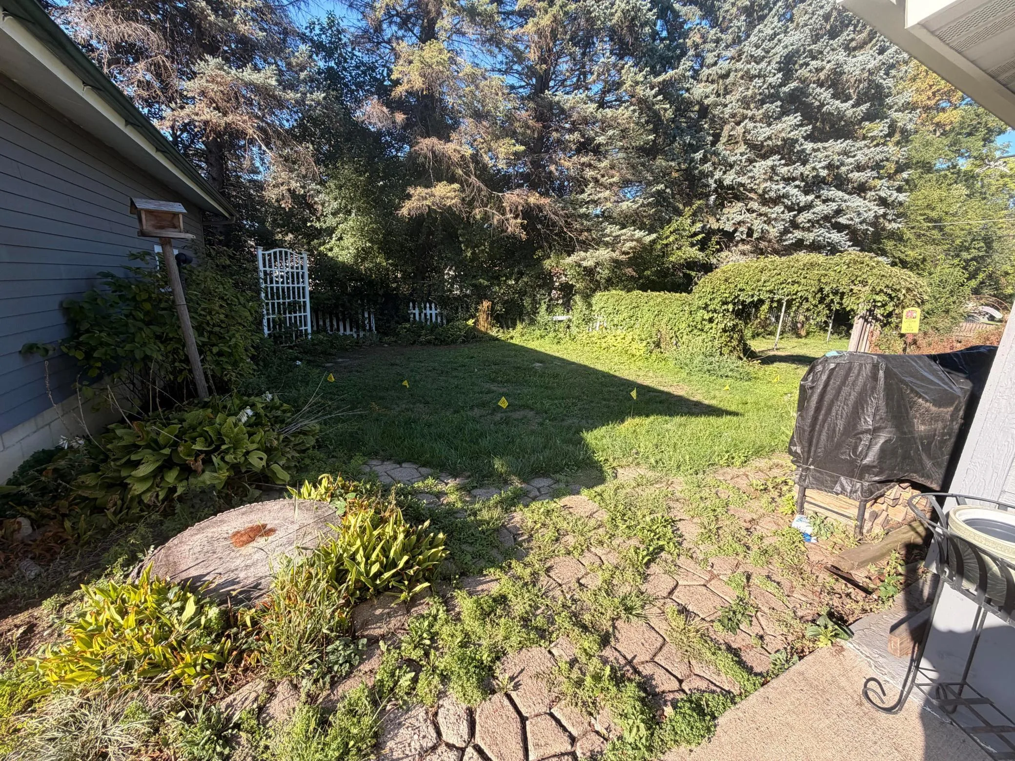 Photo 22 of 1236 2nd Street