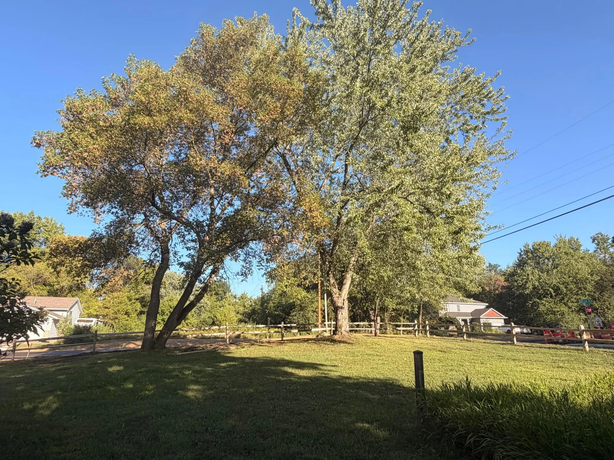 Photo 30 of 1236 2nd Street