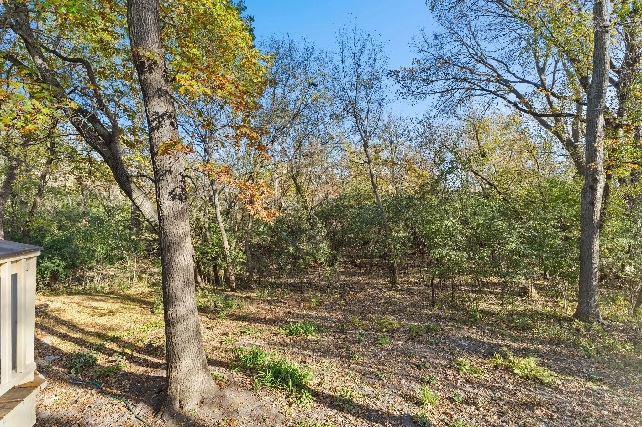 Photo 56 of 14884 Tealwood Court